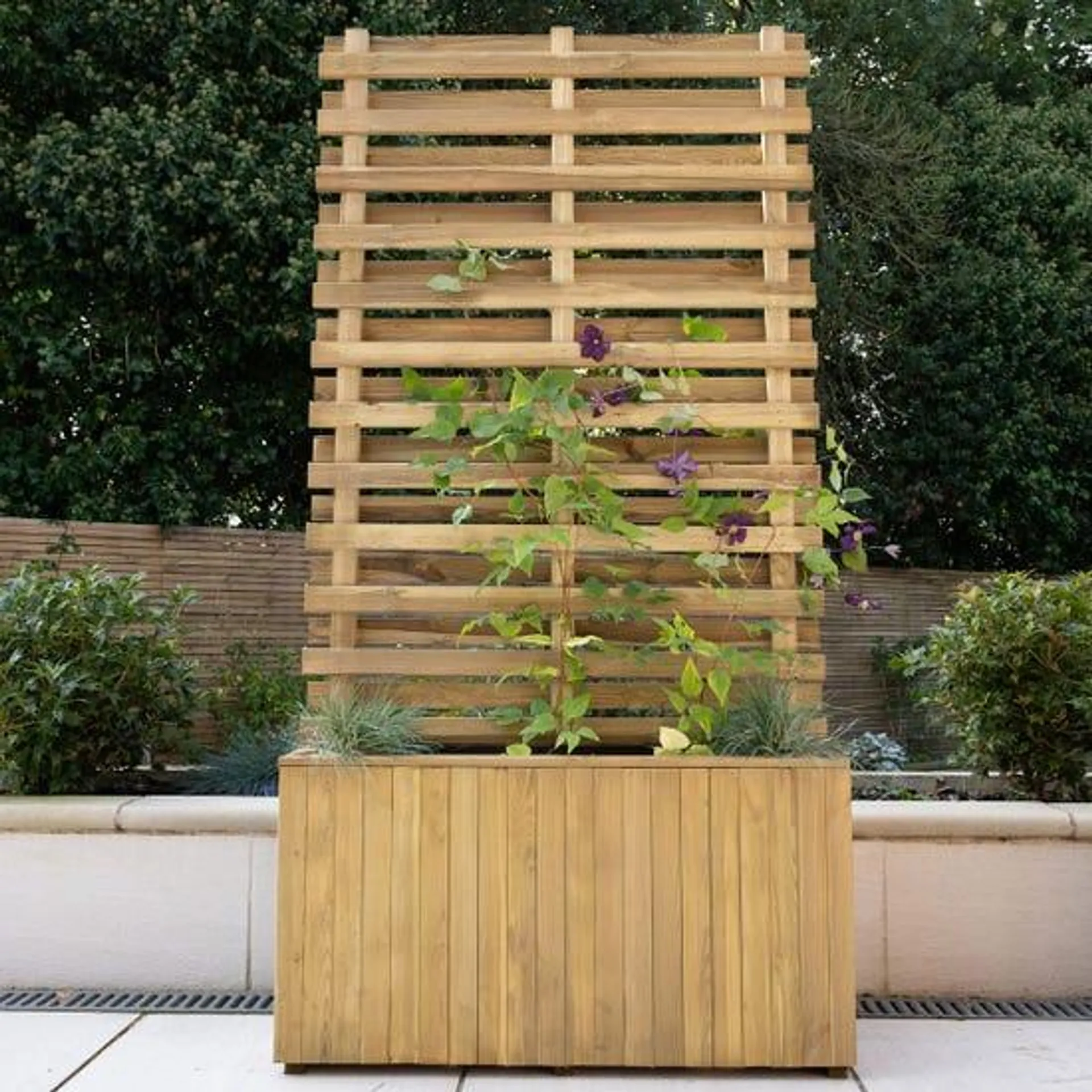 Forest Garden Living Screen Planter