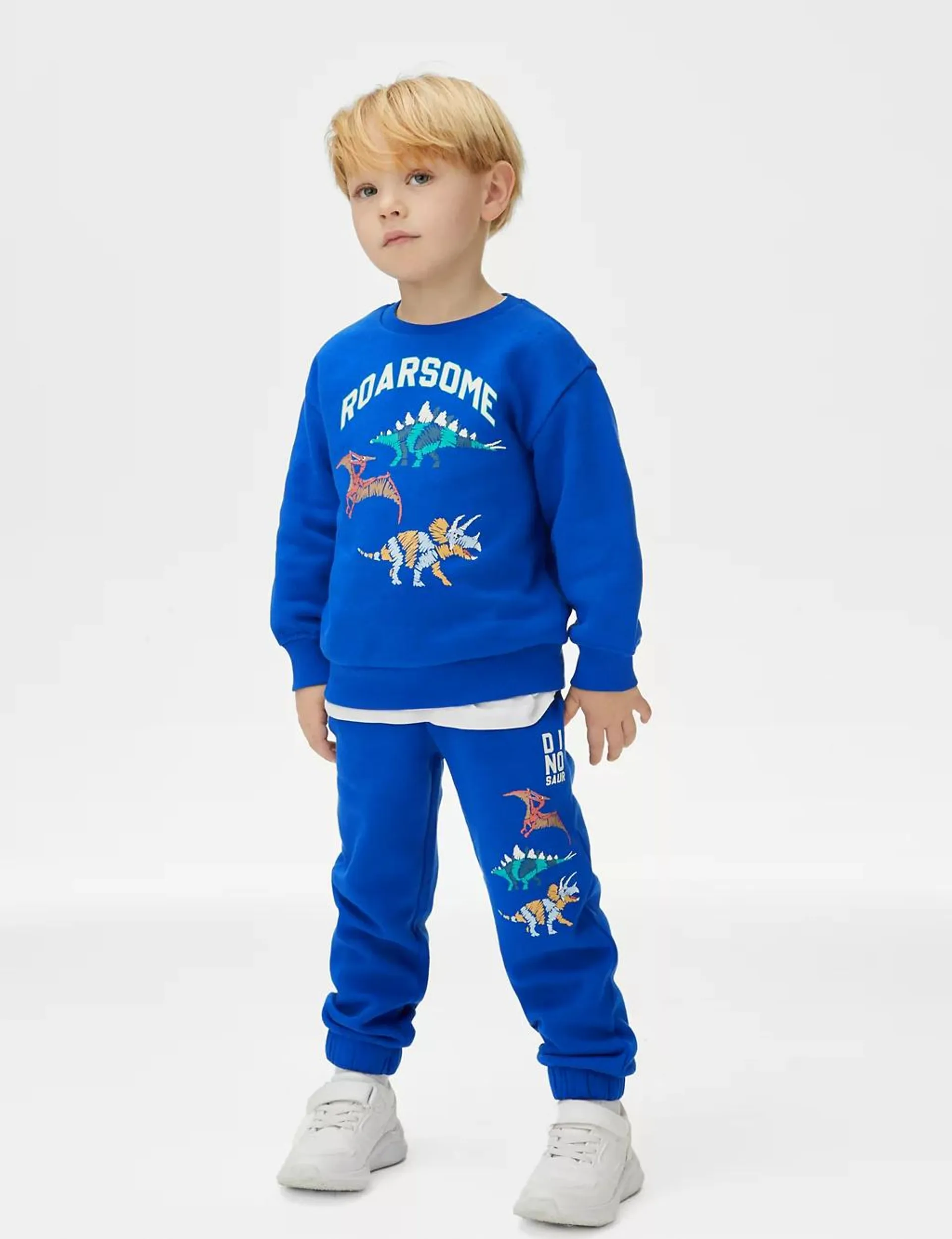 Cotton Rich Dinosaur Sweatshirt (2-8 Yrs)