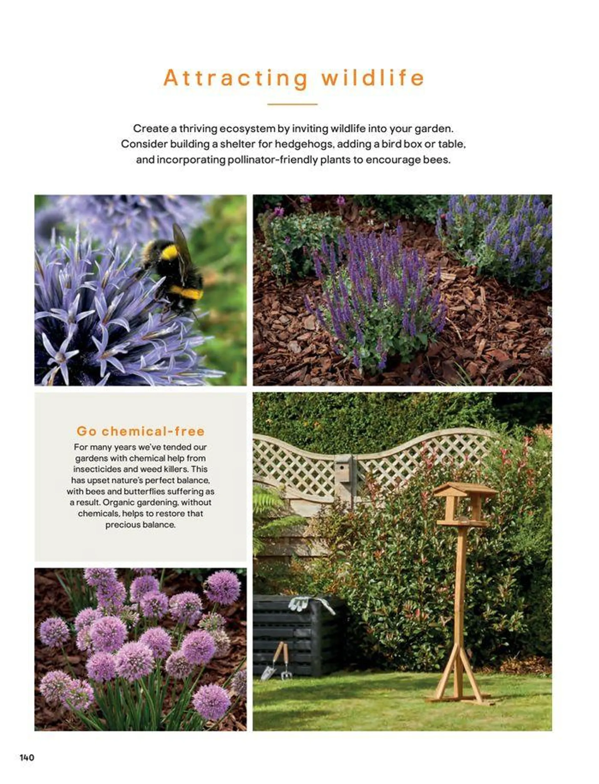 Outdoors from 20 September to 31 December 2024 - Catalogue Page 140