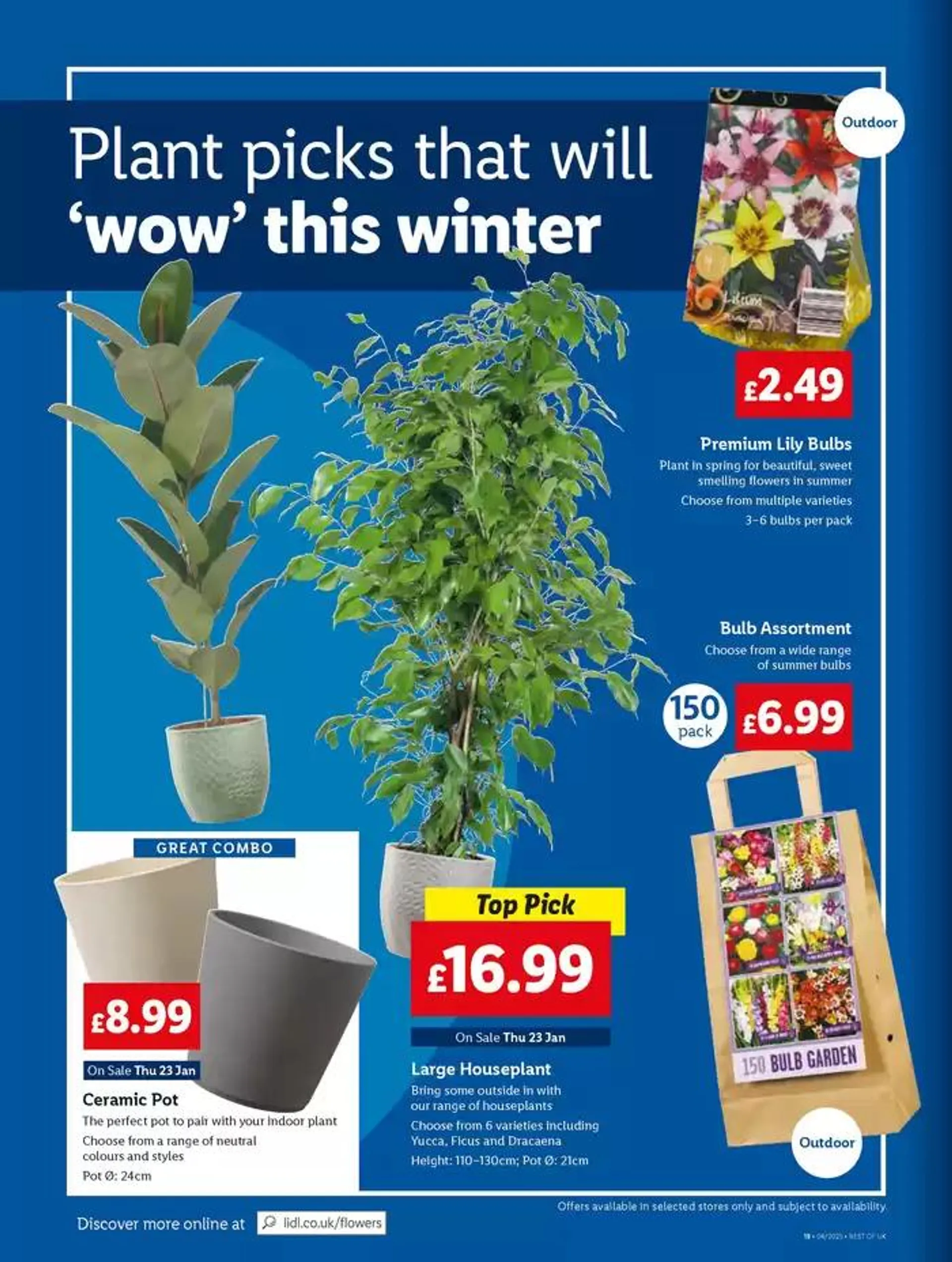 Exclusive deals and bargains from 23 January to 29 January 2025 - Catalogue Page 22