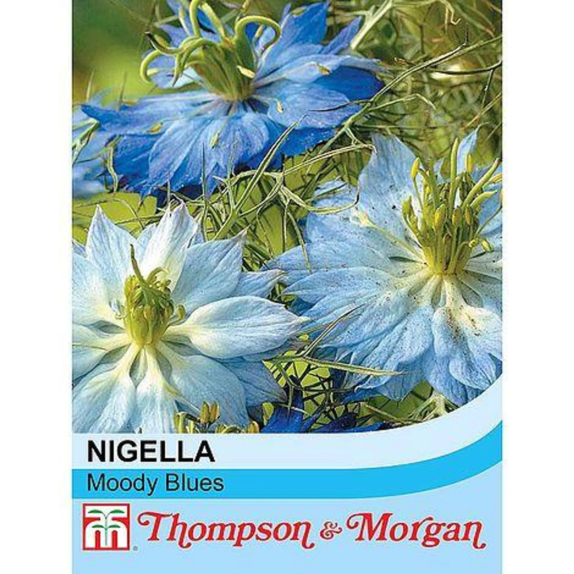 Nigella 'Moody Blues' - Start-A-Garden™ Seed Range