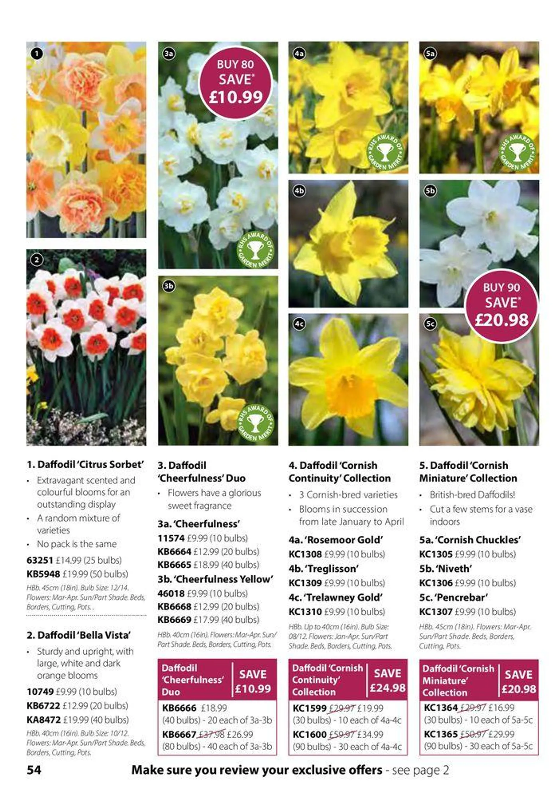 Autumn Catalogue from 1 September to 30 November 2024 - Catalogue Page 54