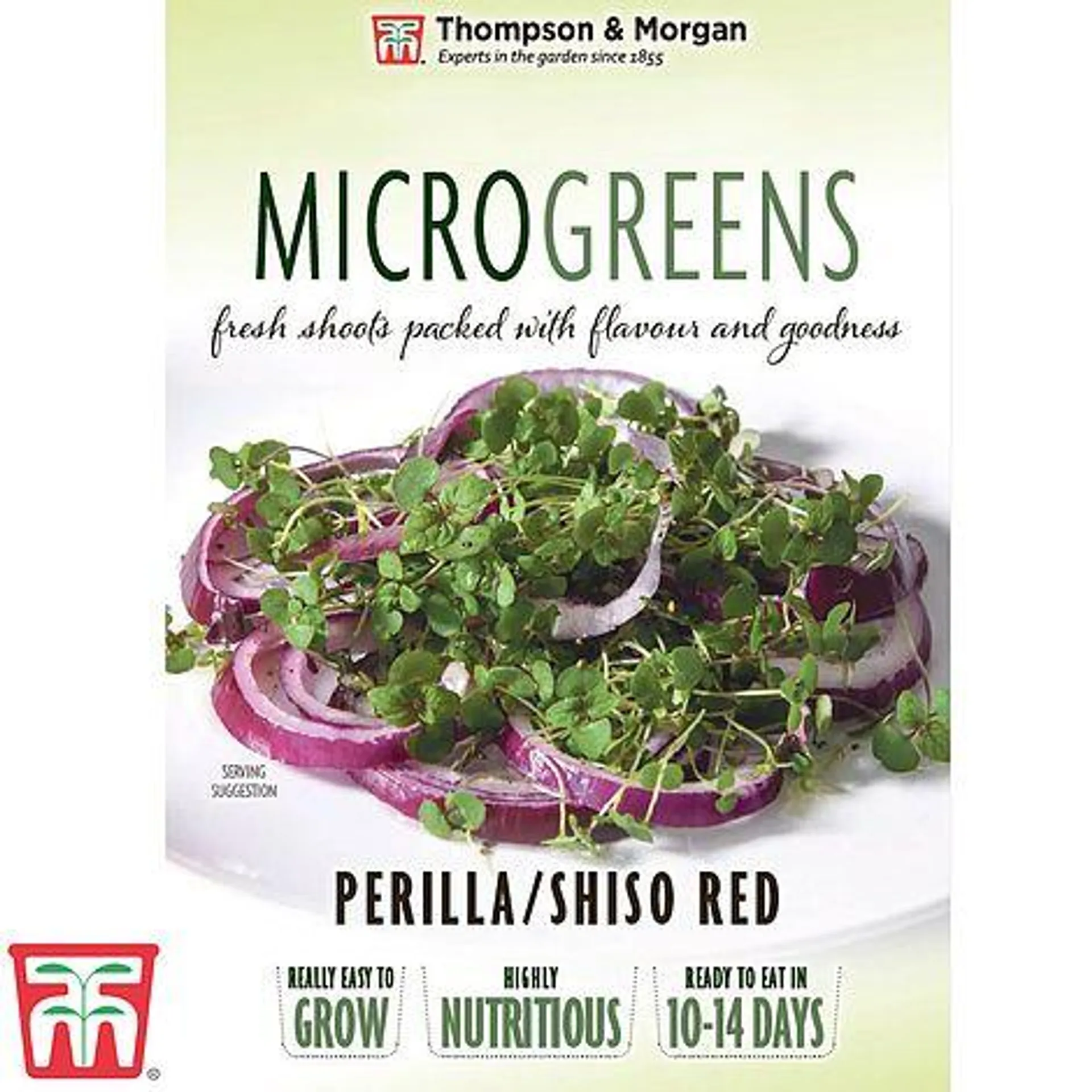 Microgreens 'Perilla/Shiso Red' - Seeds