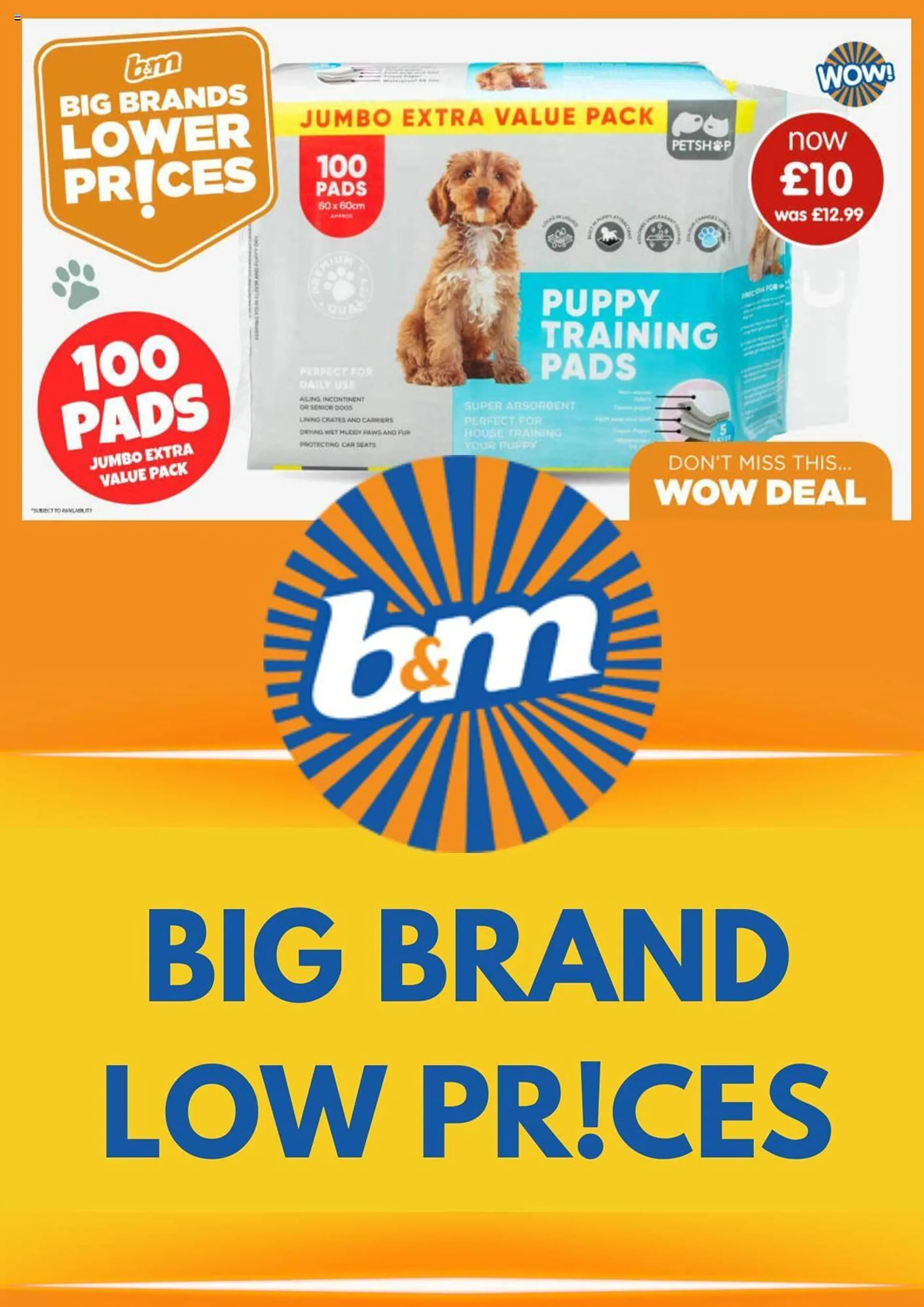 B&M Stores leaflet from 22 February to 22 March 2024 - Catalogue Page 
