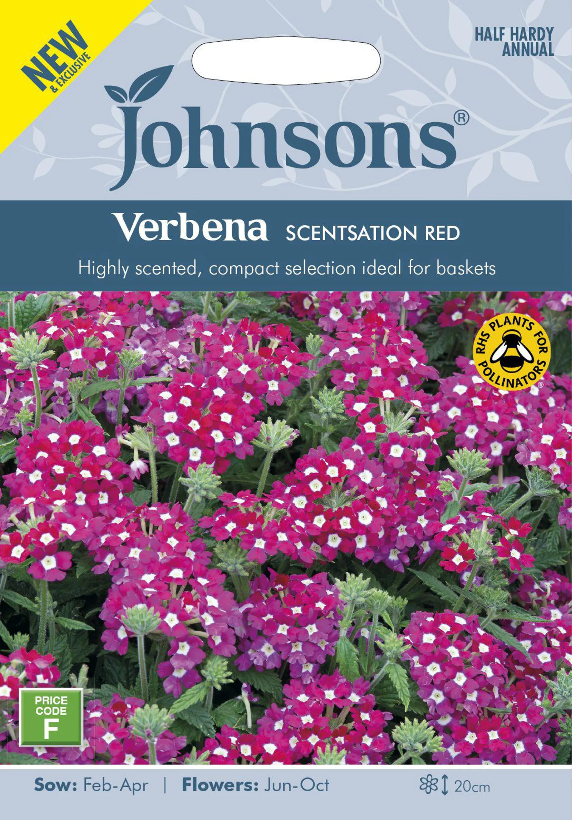 Johnsons Verbena Scentsation Red Seeds