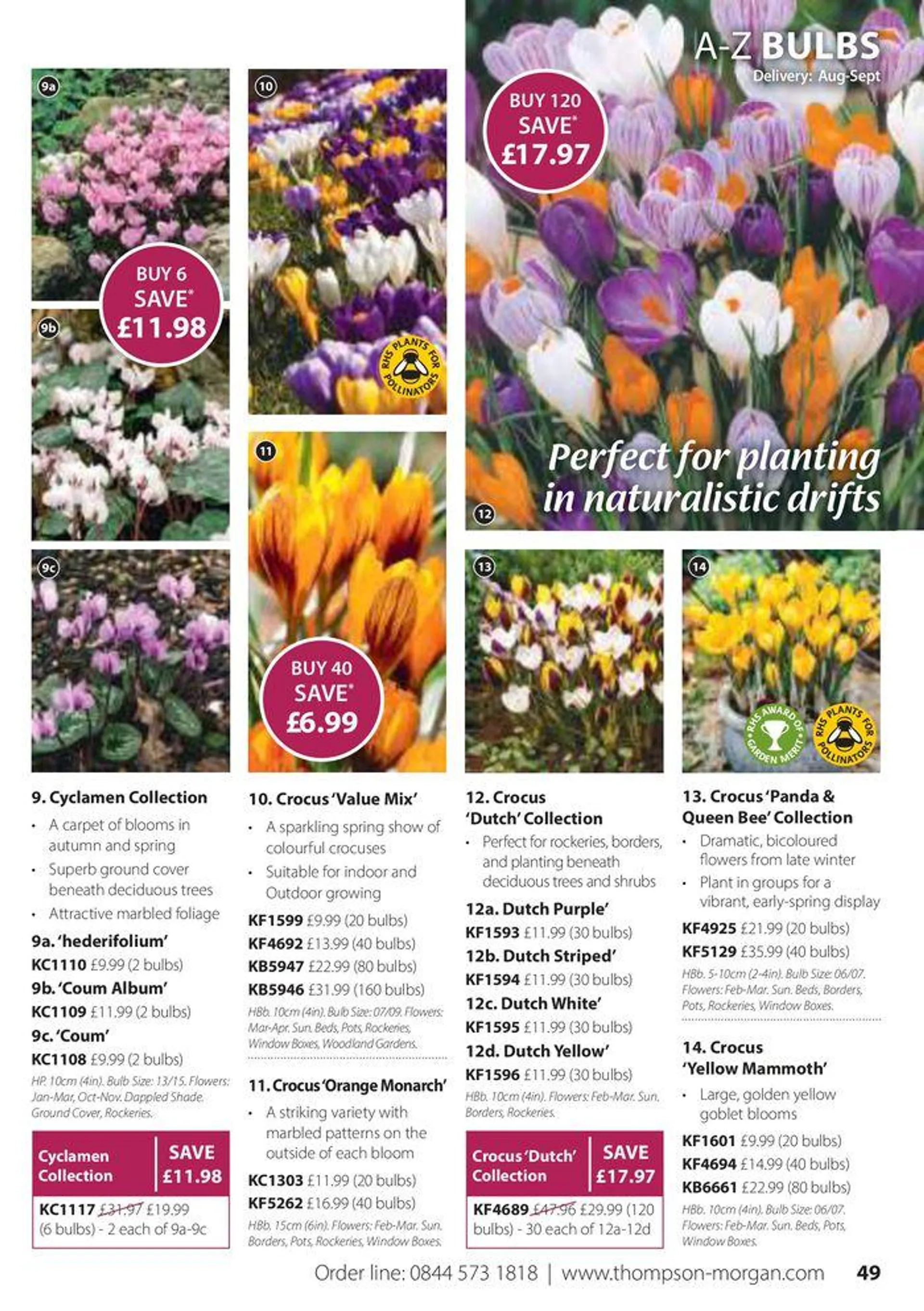 Autumn Catalogue from 1 September to 30 November 2024 - Catalogue Page 49