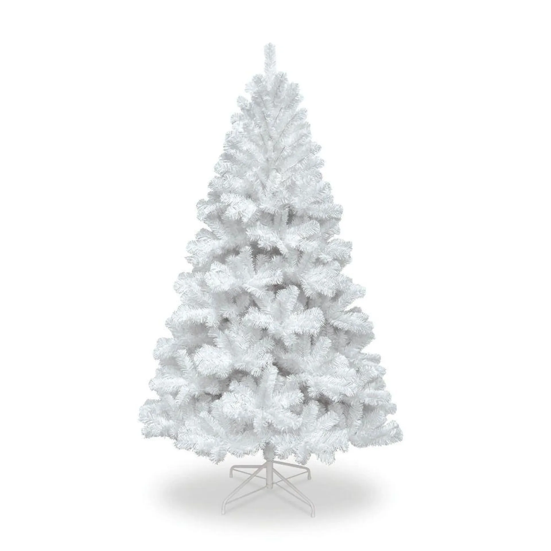 White Colorado Spruce Christmas Tree