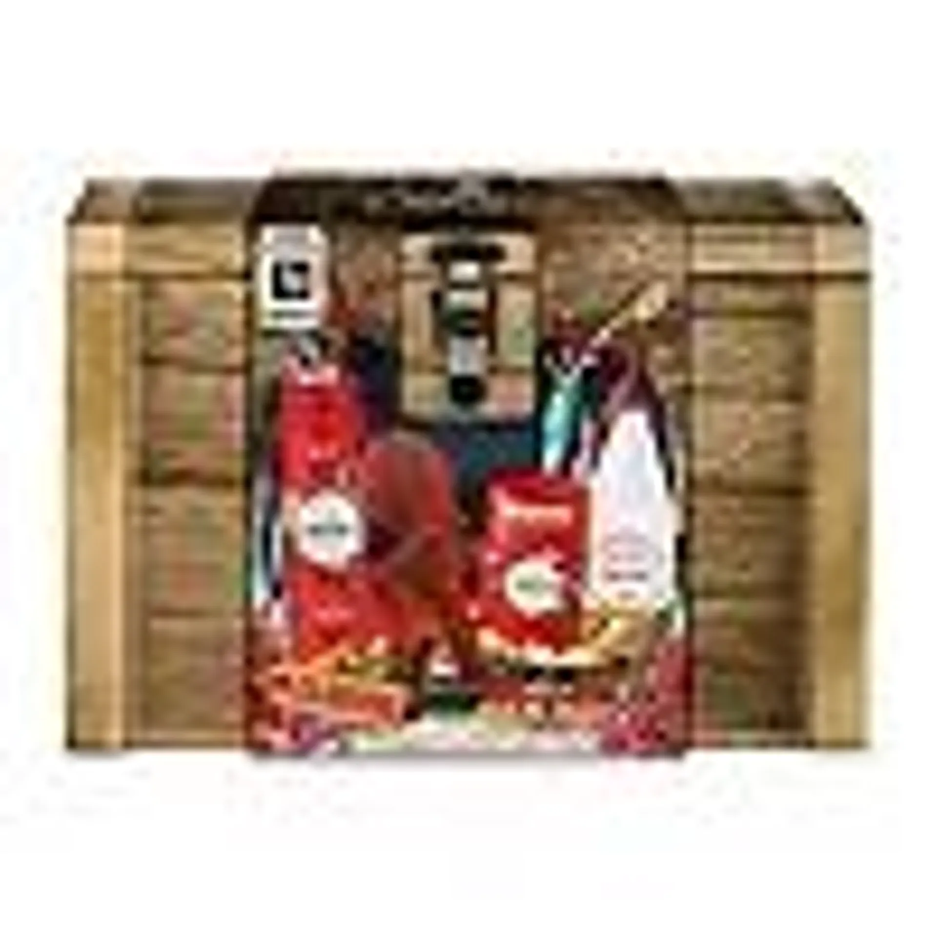 Old Spice Treasure Chest Giftset