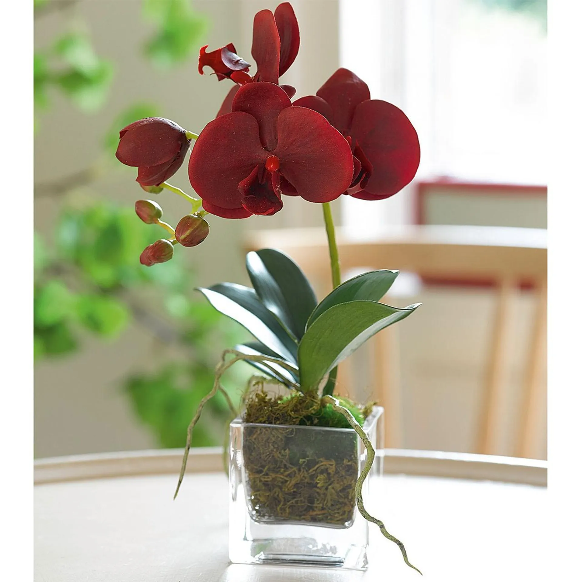 Petite Red Orchid in 1colour