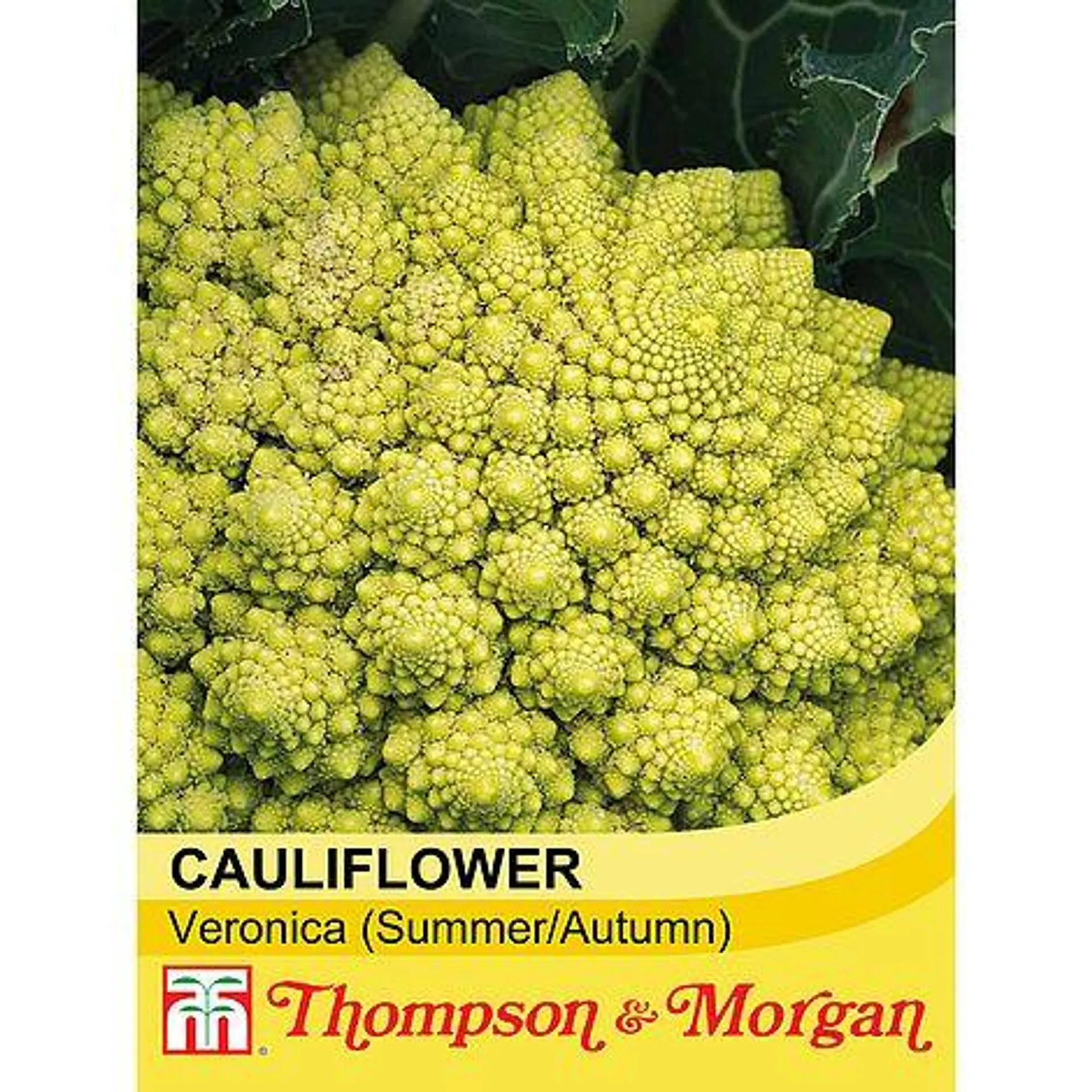 Cauliflower 'Veronica' (Summer/Autumn) - Seeds