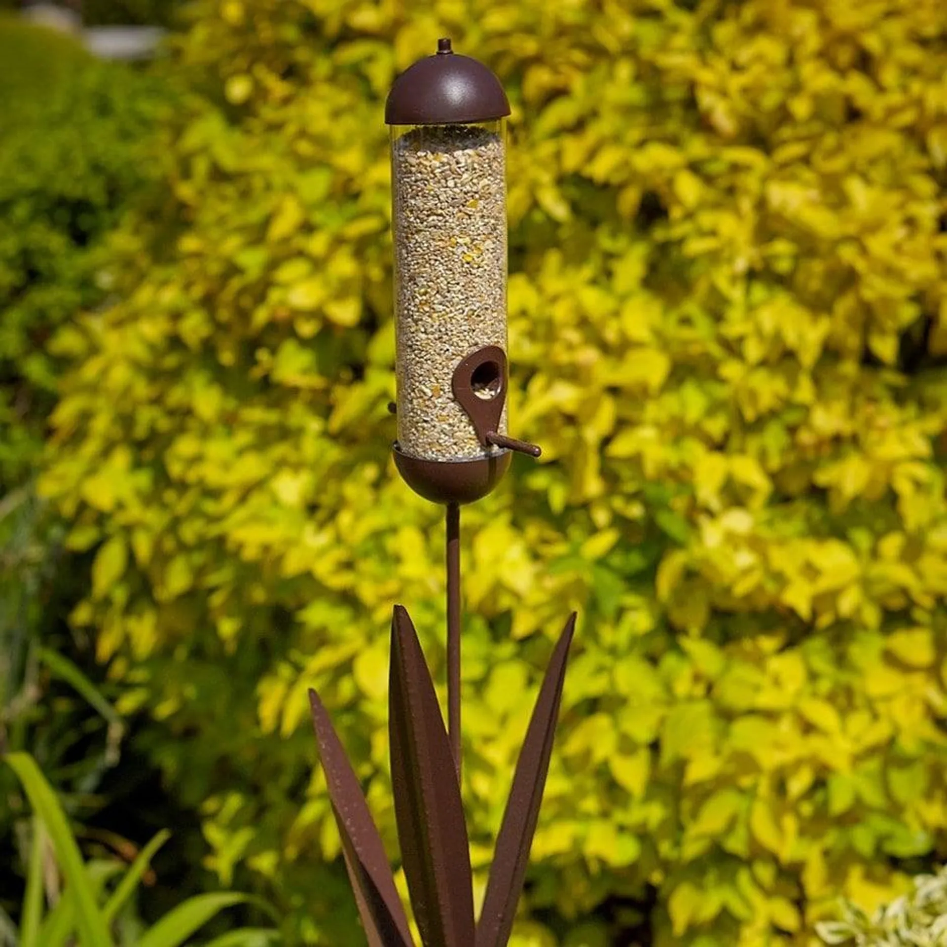 Reed seed feeder