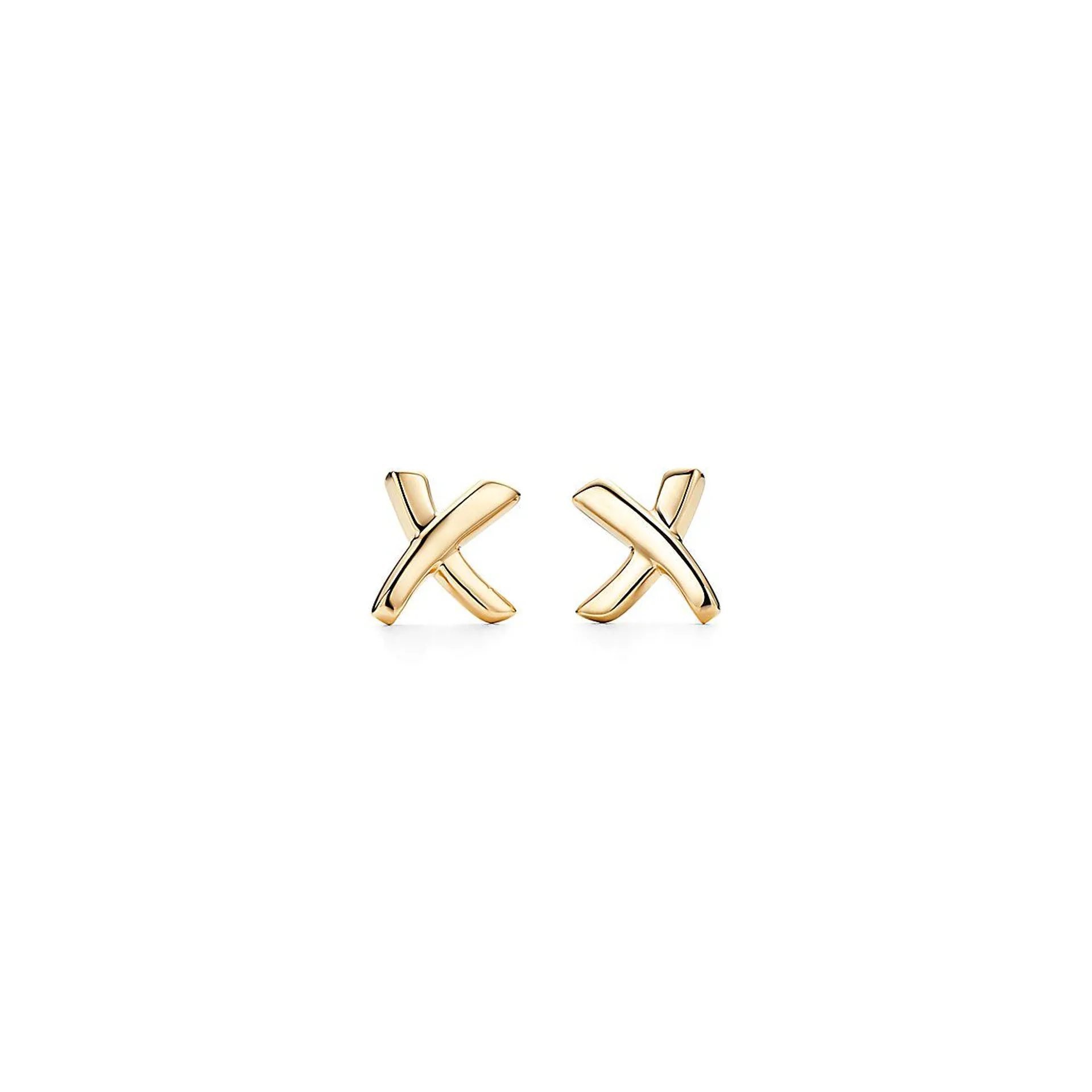 X Earrings