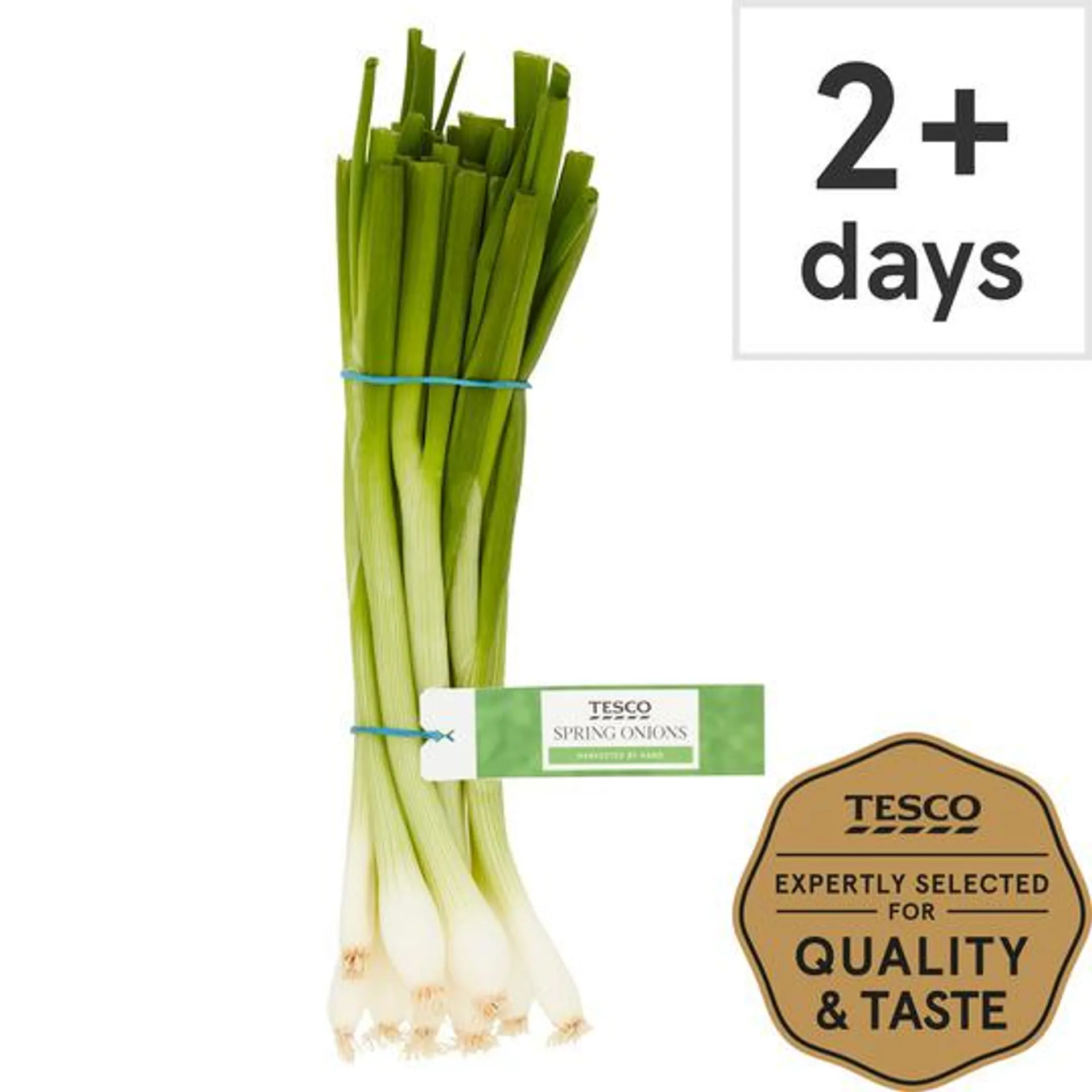 Tesco Bunched Spring Onions 100G