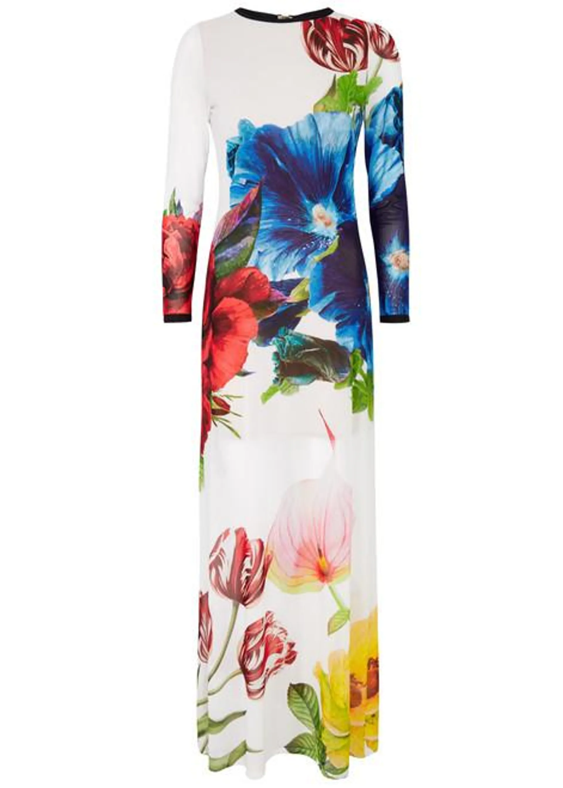 Delora floral-print tulle maxi dress