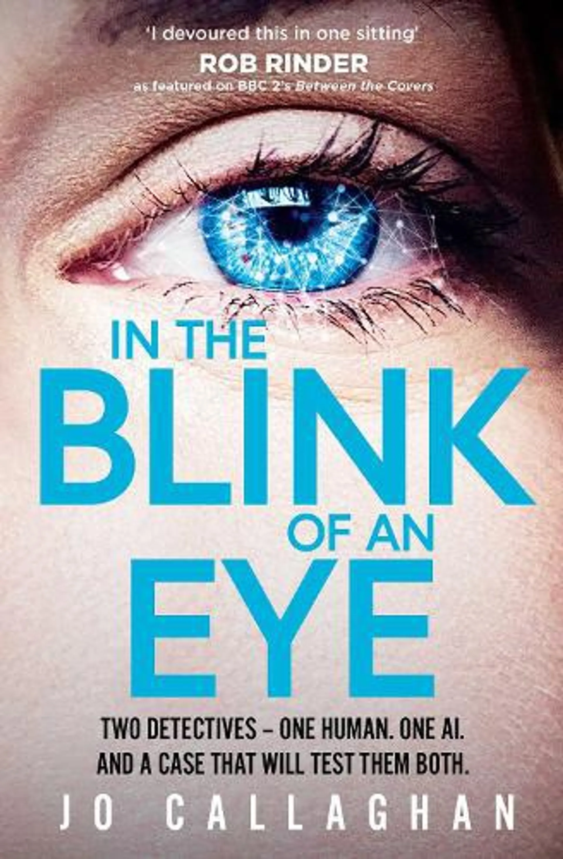 In The Blink of An Eye (Paperback)