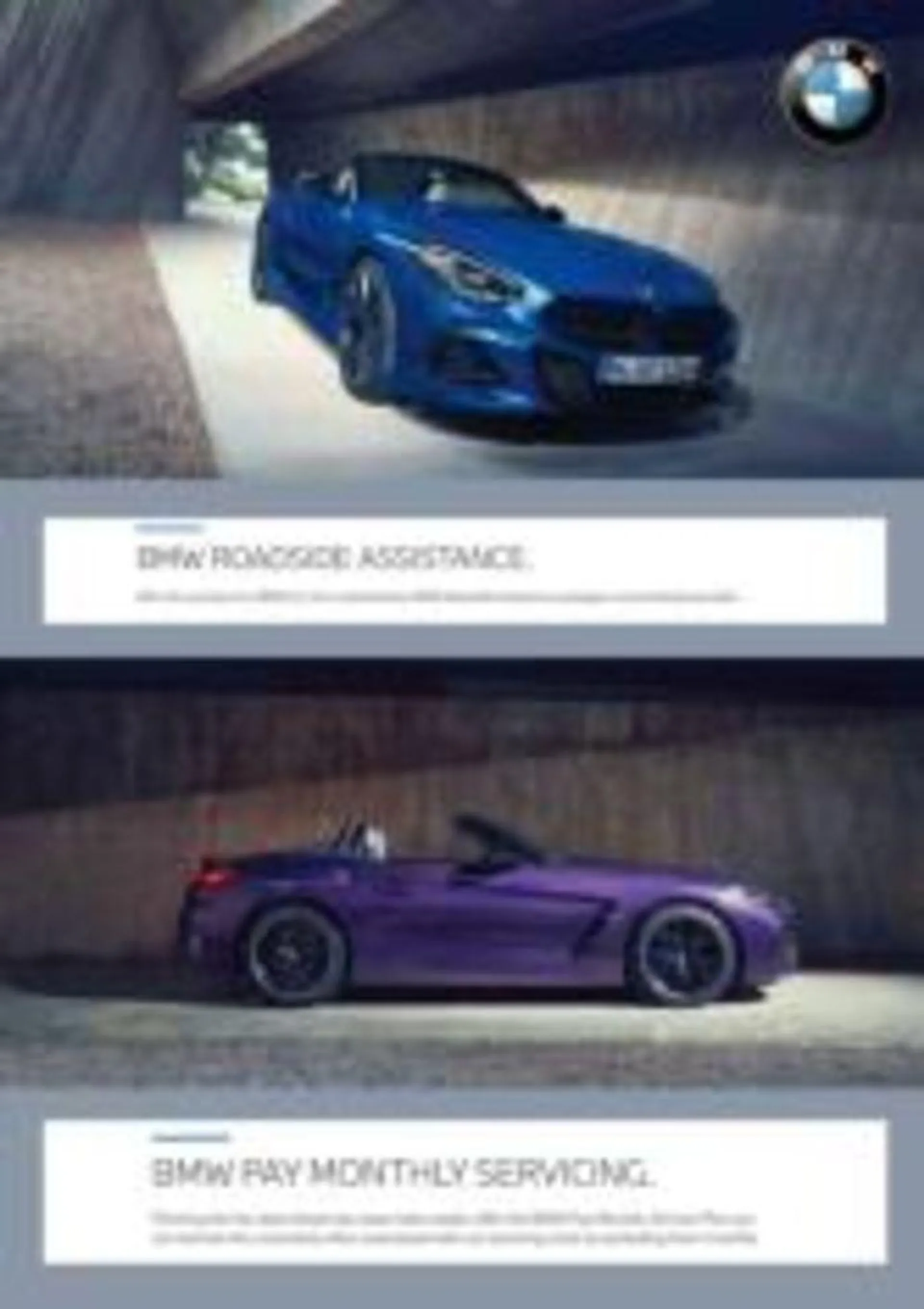 BMW Z4 from 19 January to 31 December 2024 - Catalogue Page 14