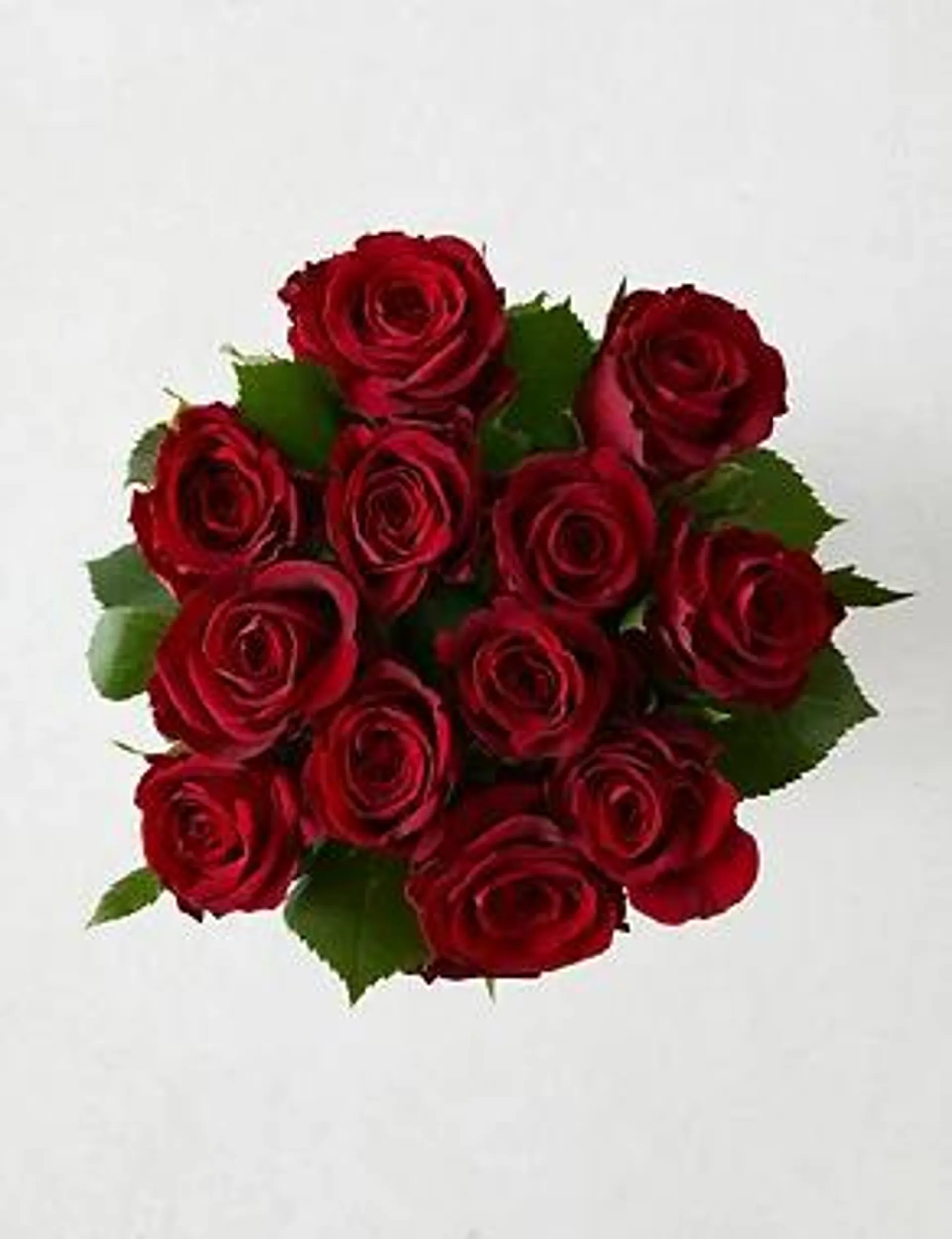 A Dozen Red Roses & Prosecco Bundle (Delivery from 9th February 2023)