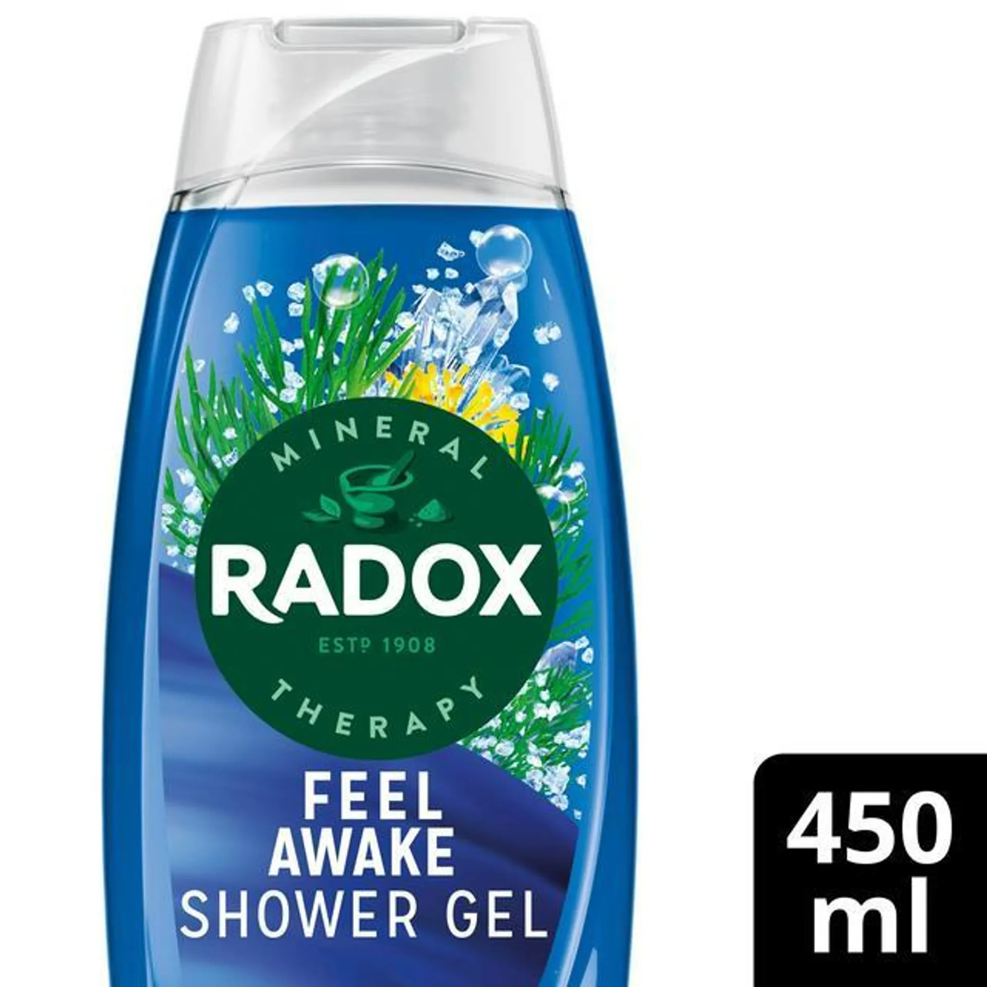 Radox Feel Awake 2 In 1 Shower Gel & Shampoo Sea Mineral & Fennel 450ml