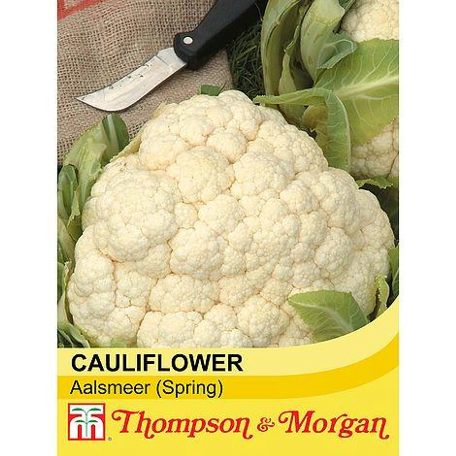 Cauliflower 'Aalsmeer' (Spring) - Seeds