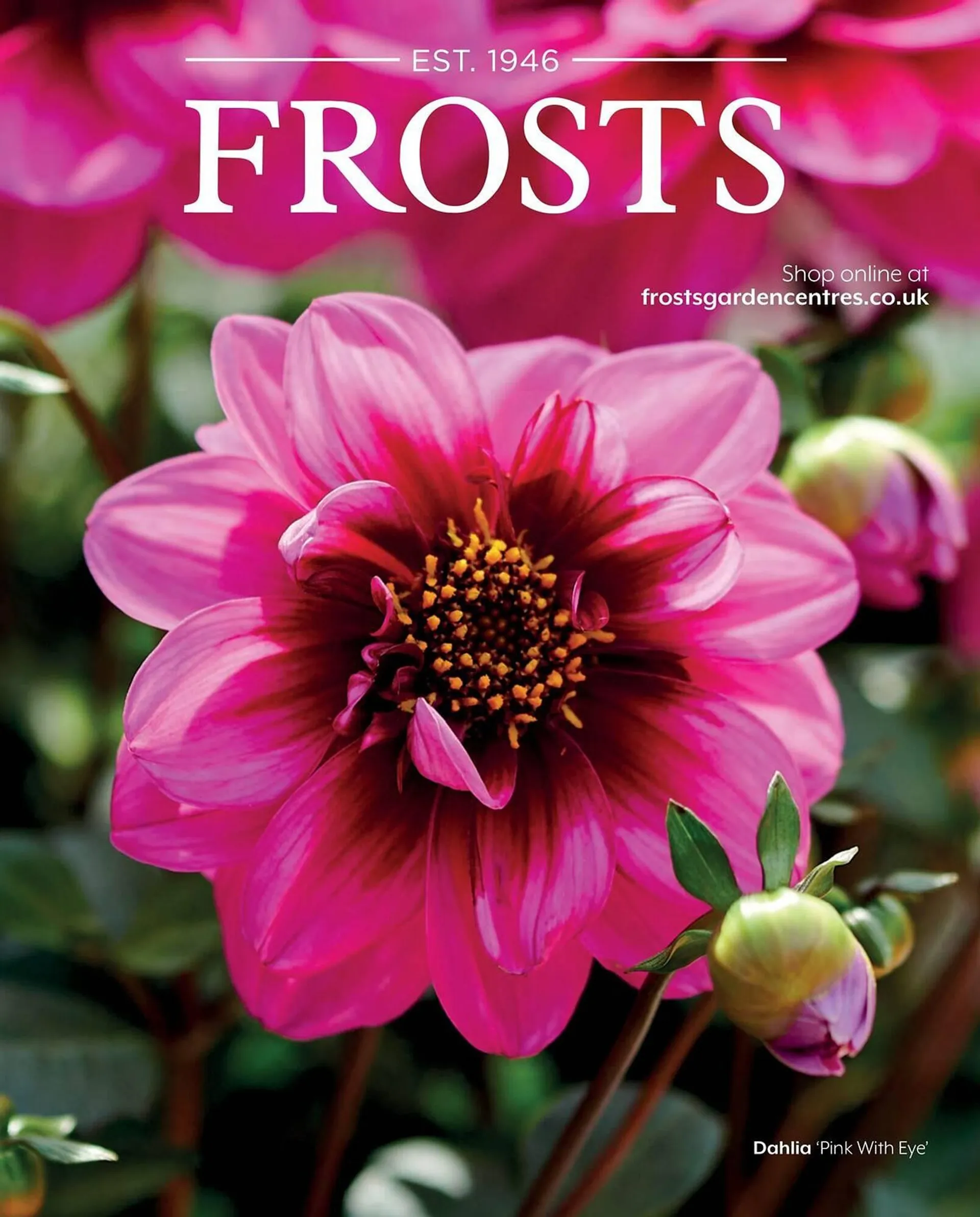 Frosts Garden Centres leaflet - 1
