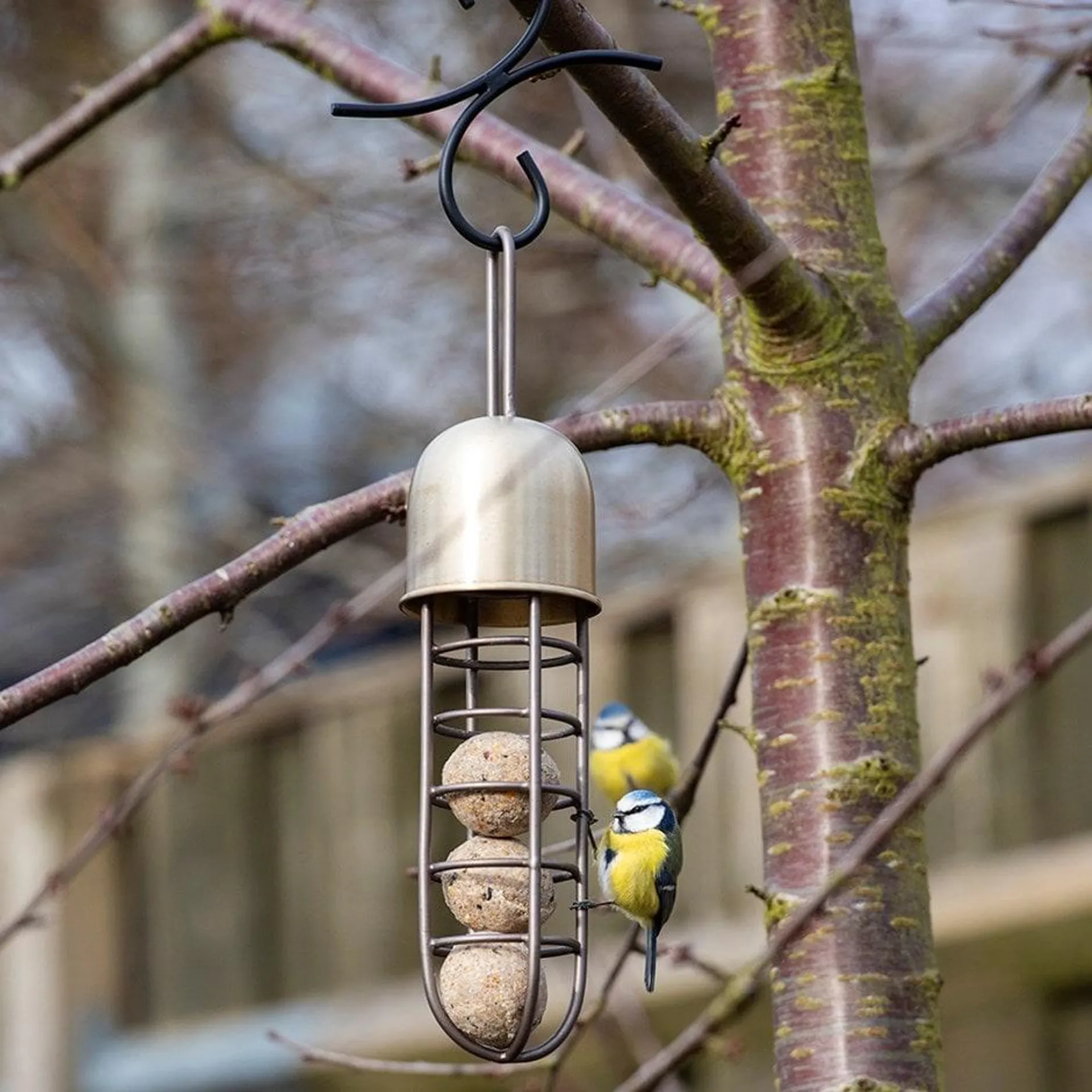 Tree hanging fat ball feeder - brass