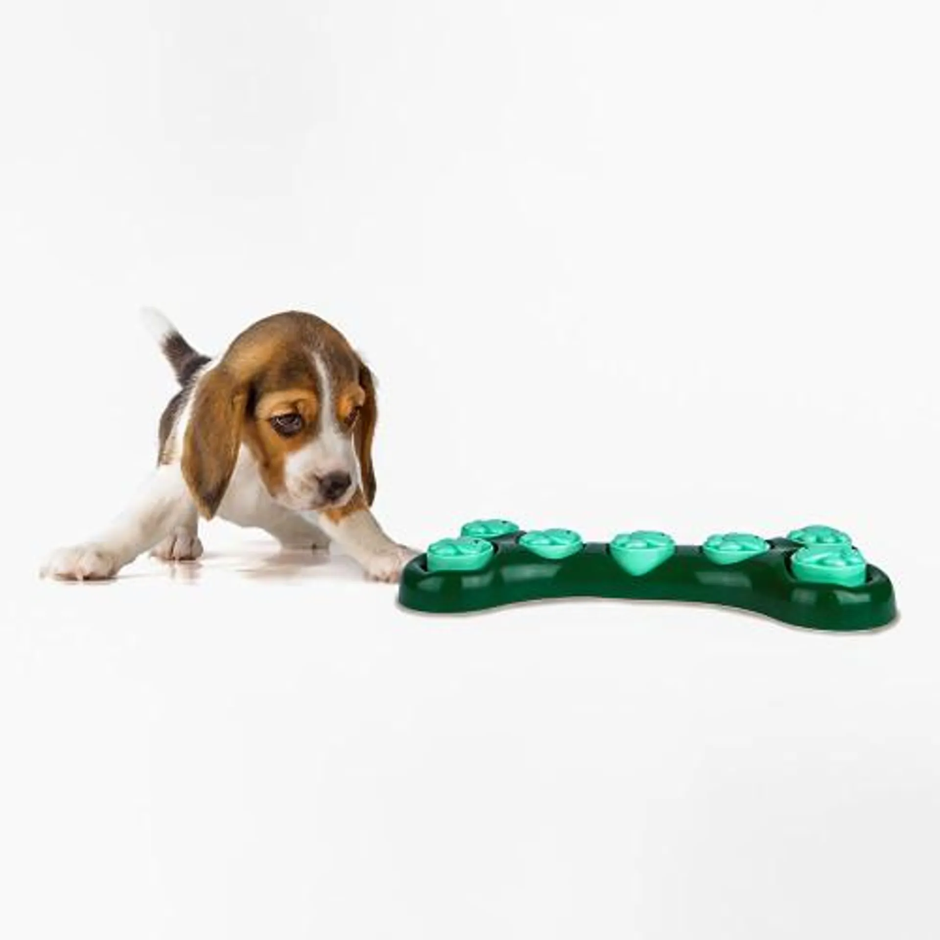 Bone Shape Treat Toy for Dogs by Crufts