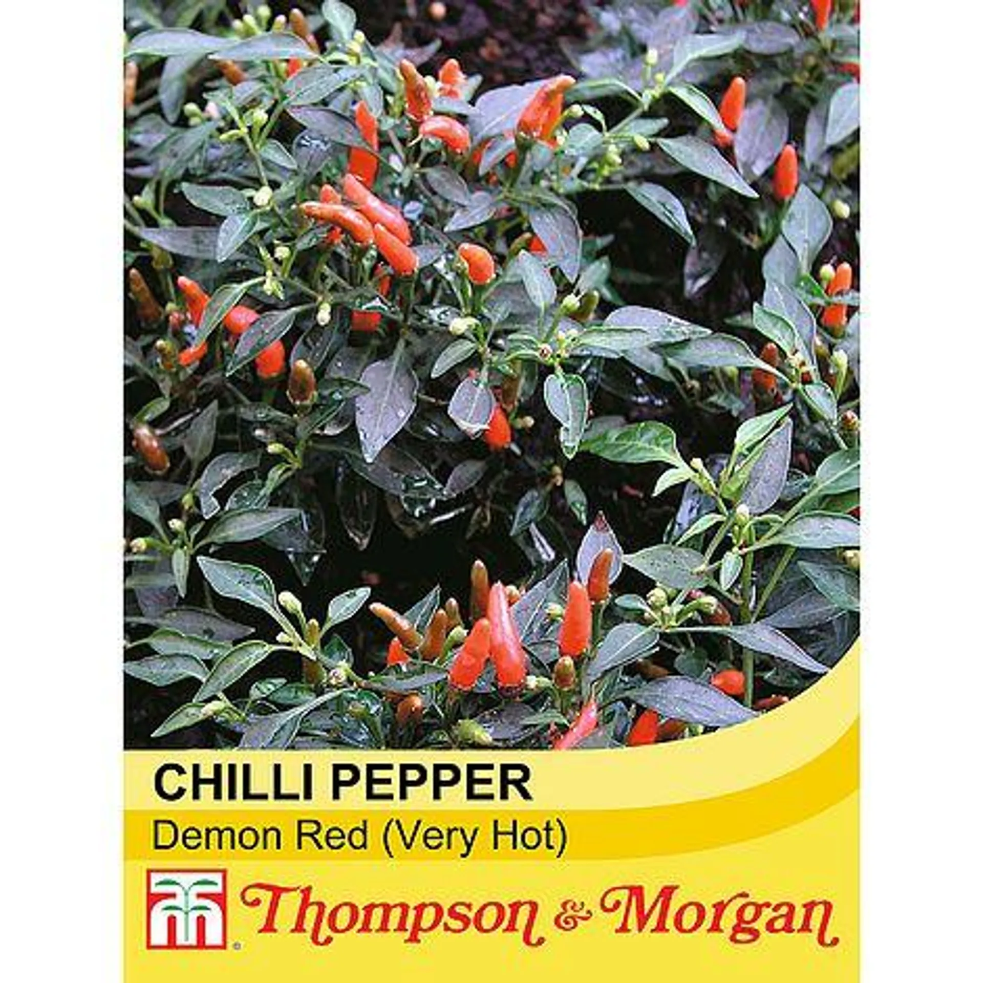 Chilli Pepper 'Demon Red' (Very Hot) - Seeds