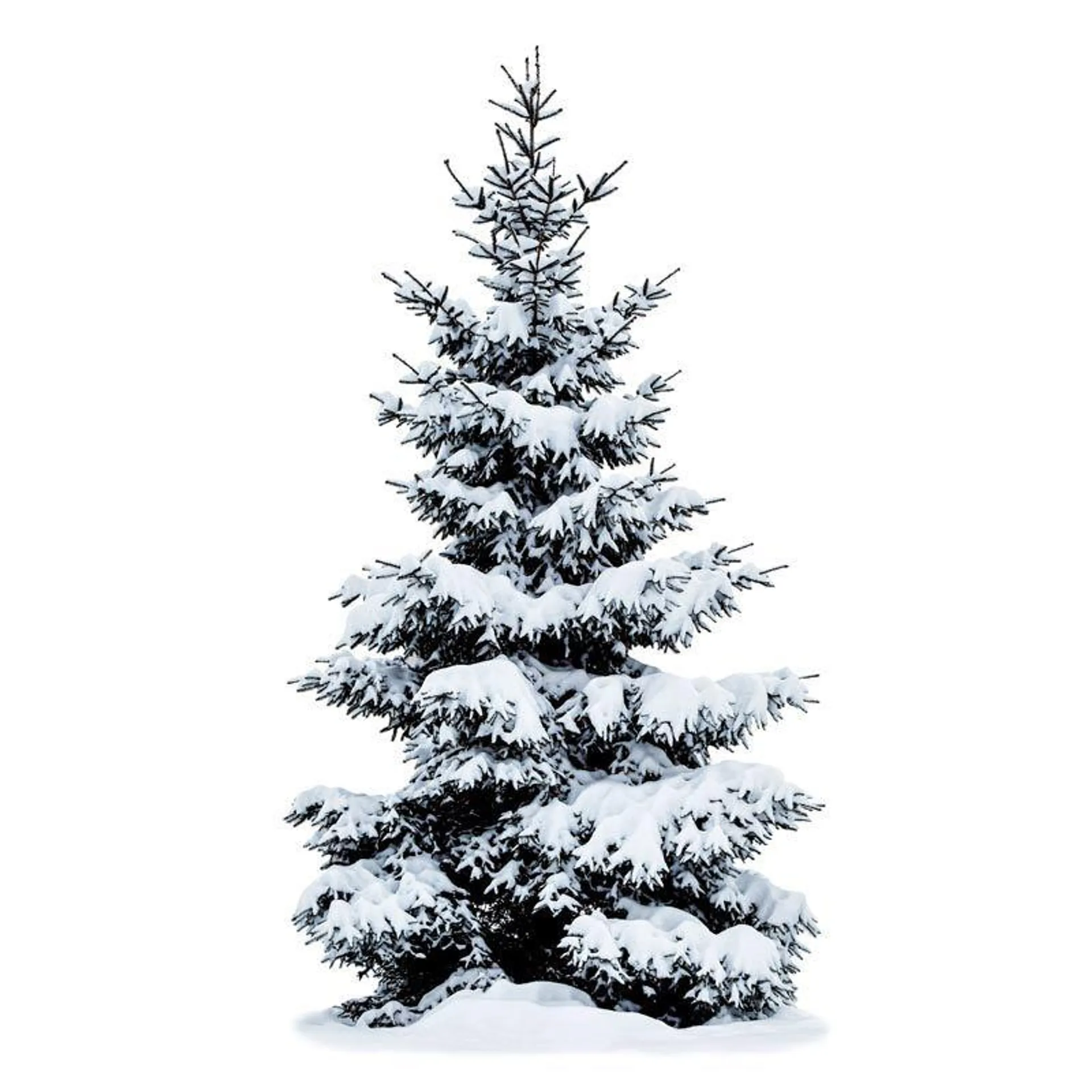 Battery Operated Snowy Tree Canvas with Warm White Twinkling LEDs
