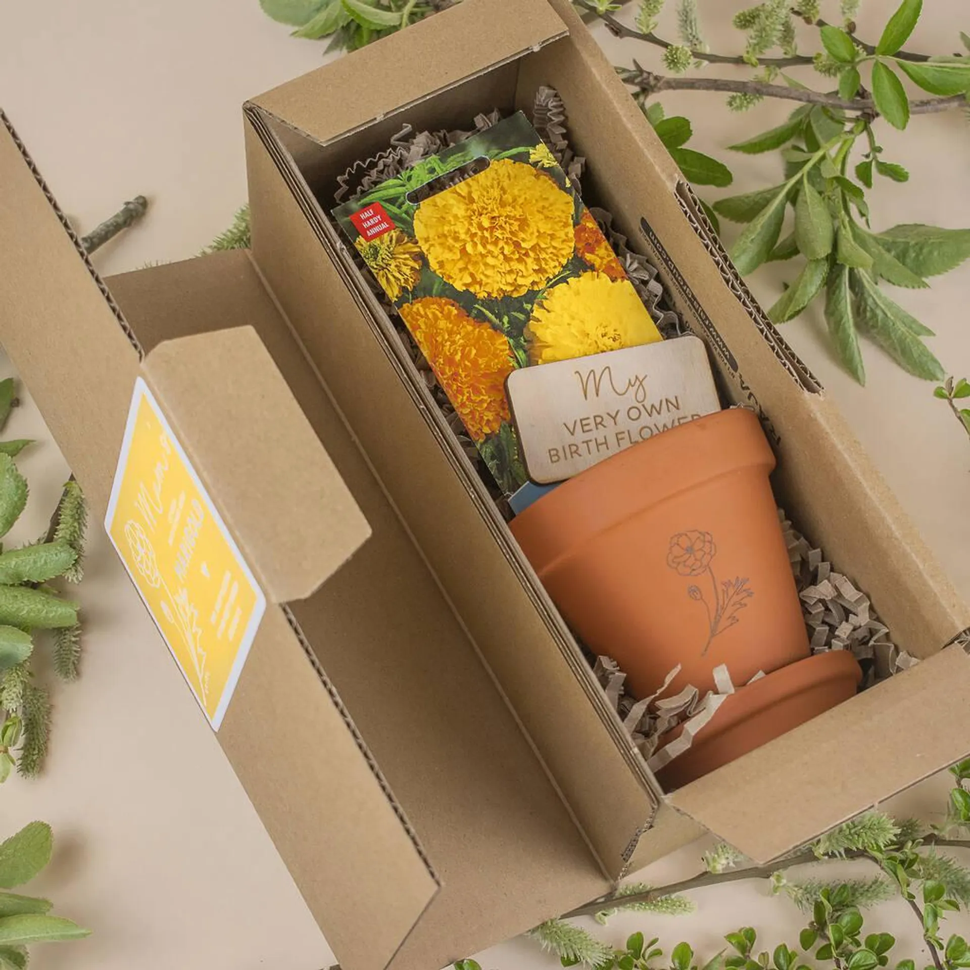 Birth Flower Seed Box Gift Set
