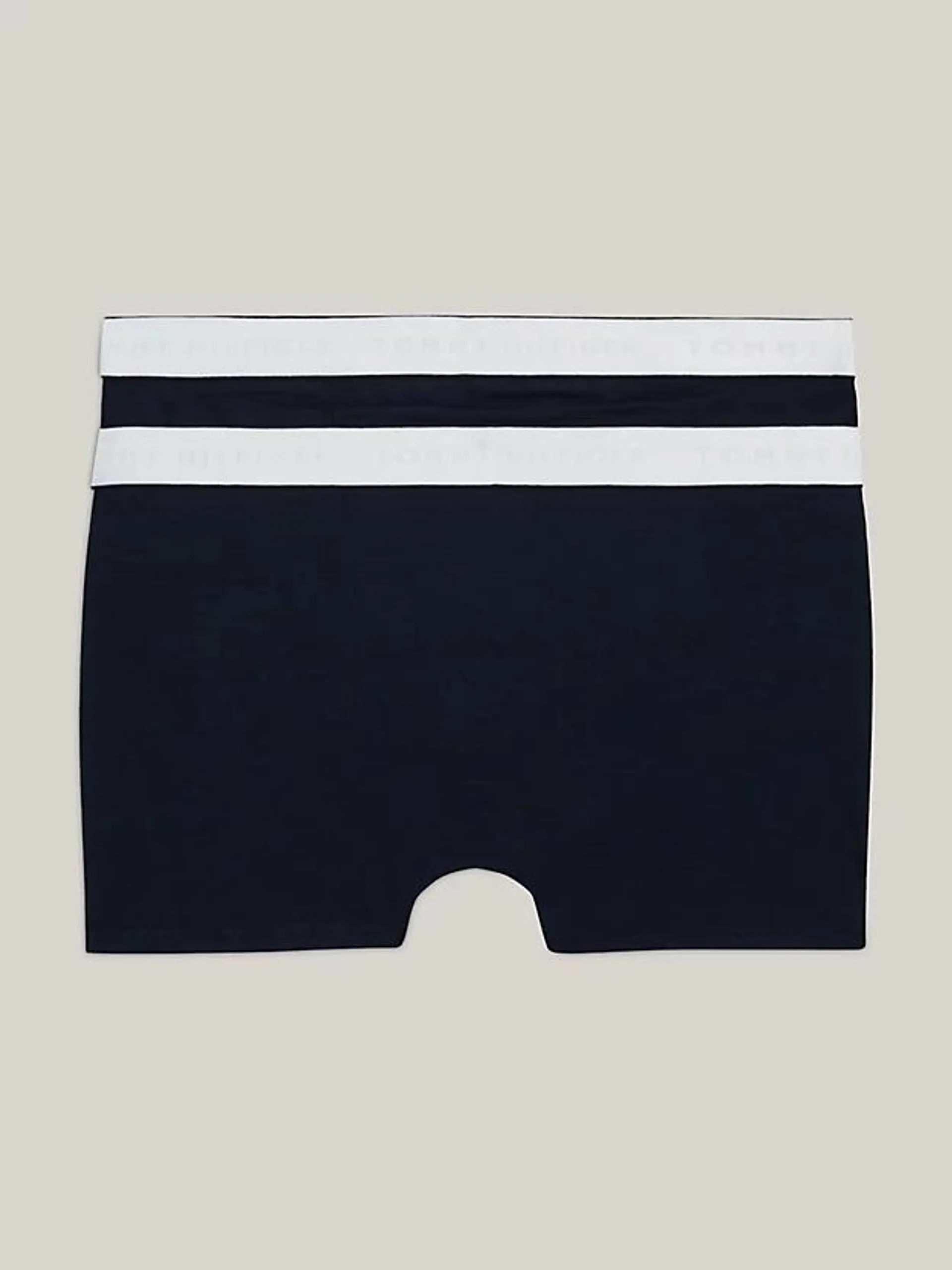 2-Pack TH Established Logo Waistband Trunks