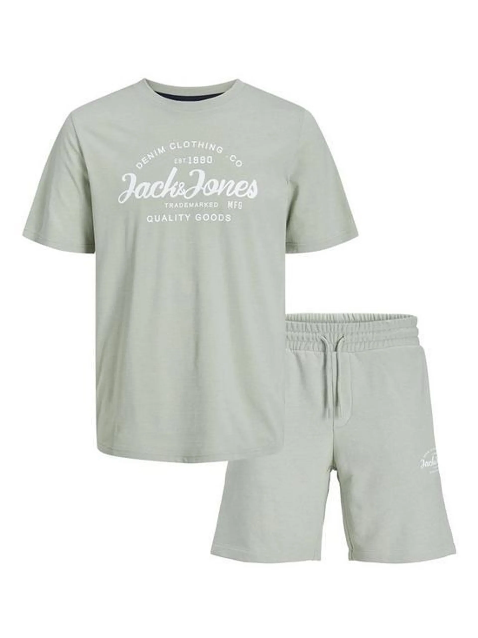 Boys Forest Short Sleeve T-shirt And Short Set - Desert Sage