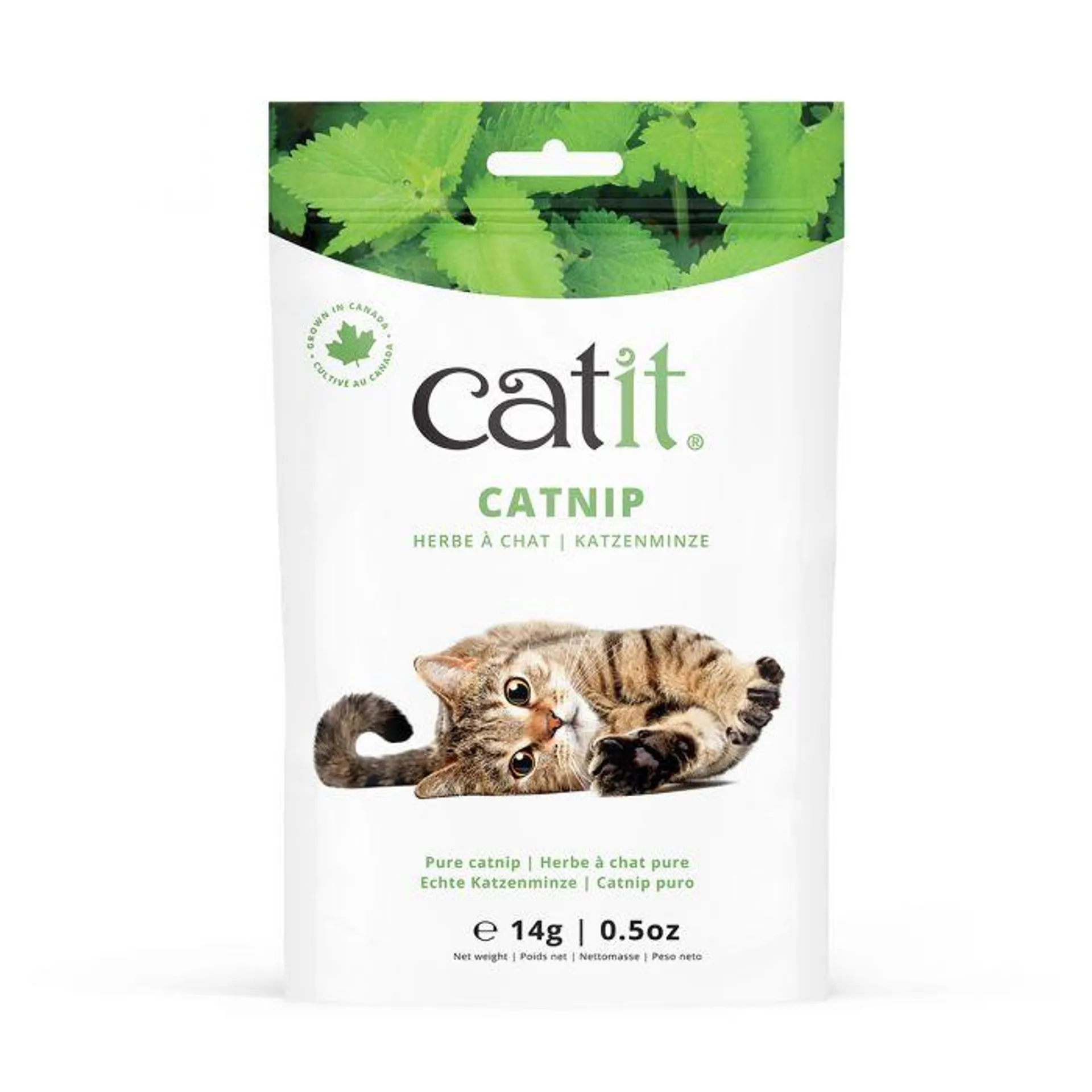 Catit Catnip 14g