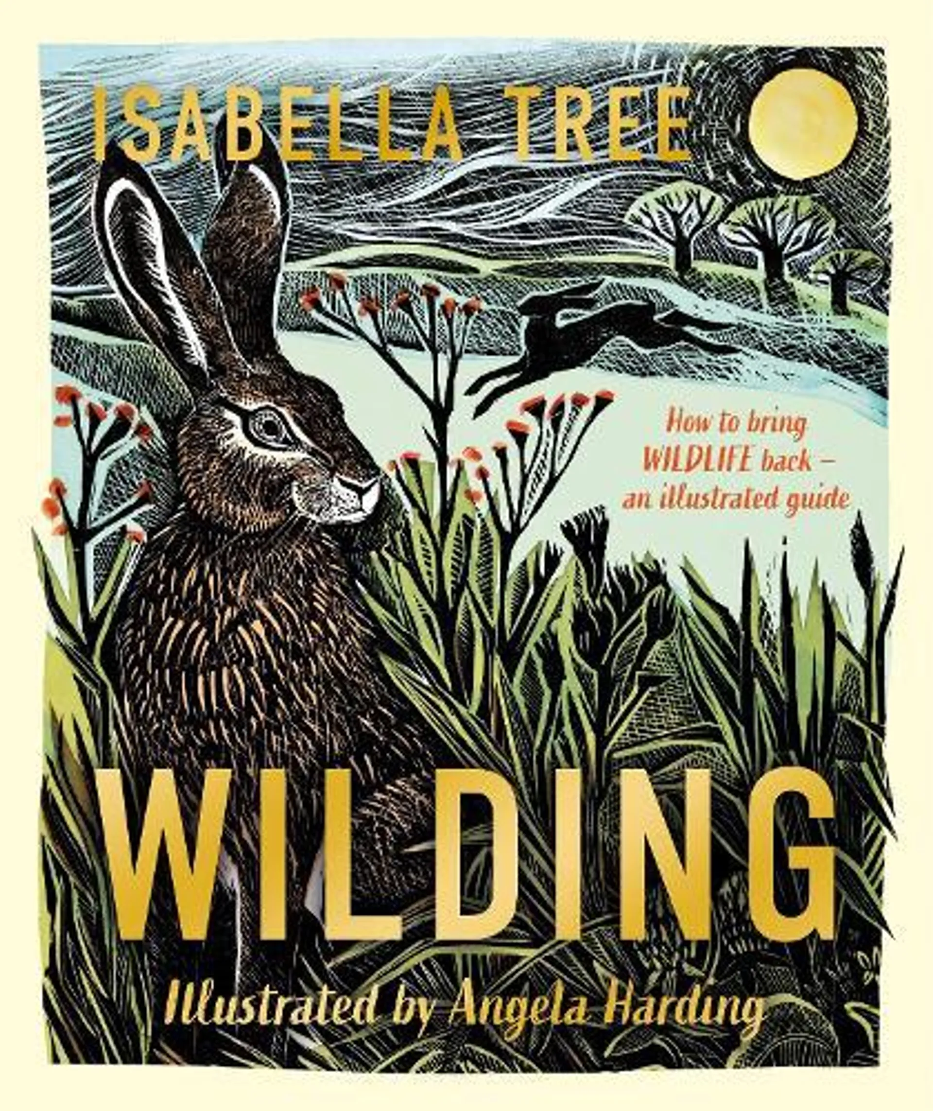 Wilding: How to Bring Wildlife Back - An Illustrated Guide (Hardback)