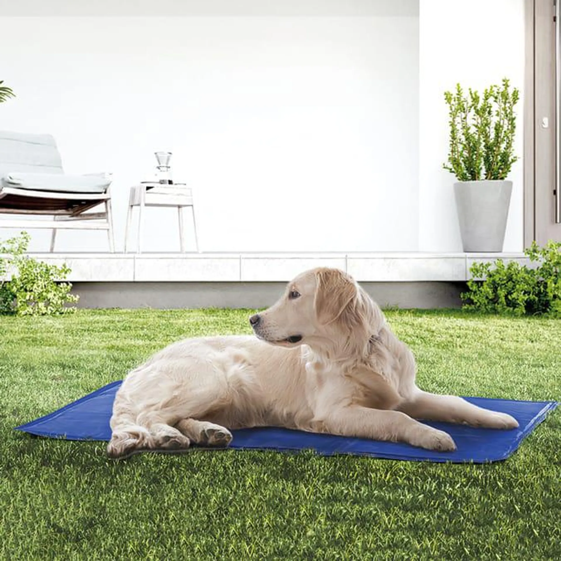 Totally Pawsome Large Pet Cooling Mat