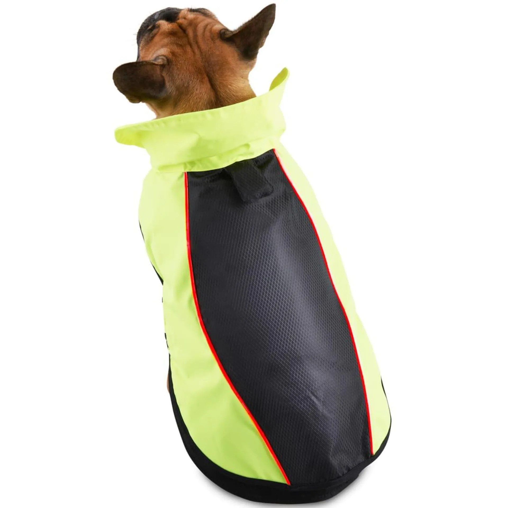 LED Dog Coat - Extra Large