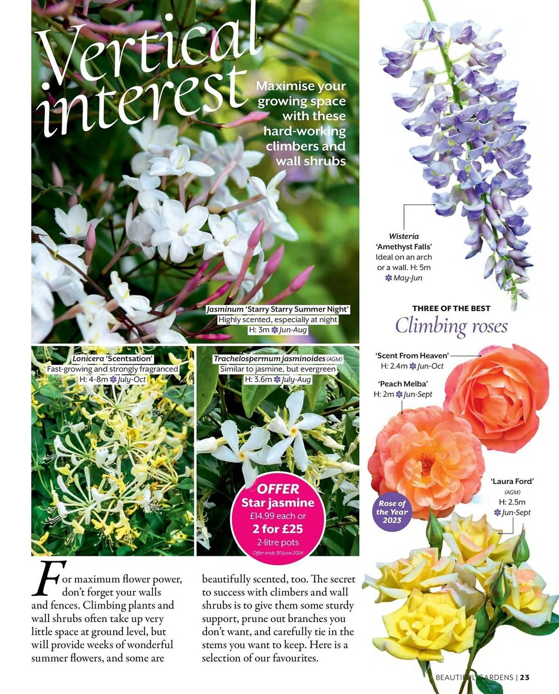 Frosts Garden Centres leaflet - 23