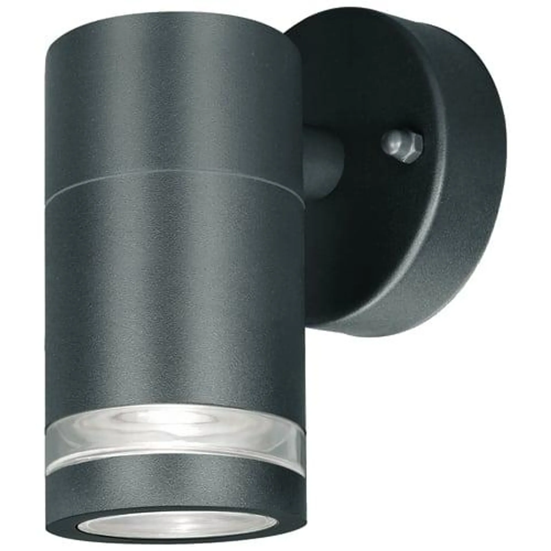 4Lite Marinus Outdoor Wall Light - Anthracite Grey