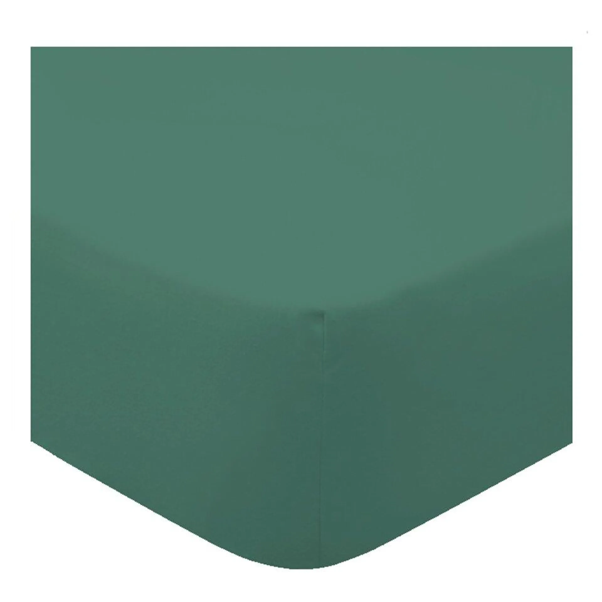 F&F Home Bedding Brushed Fitted Sheet Green Double