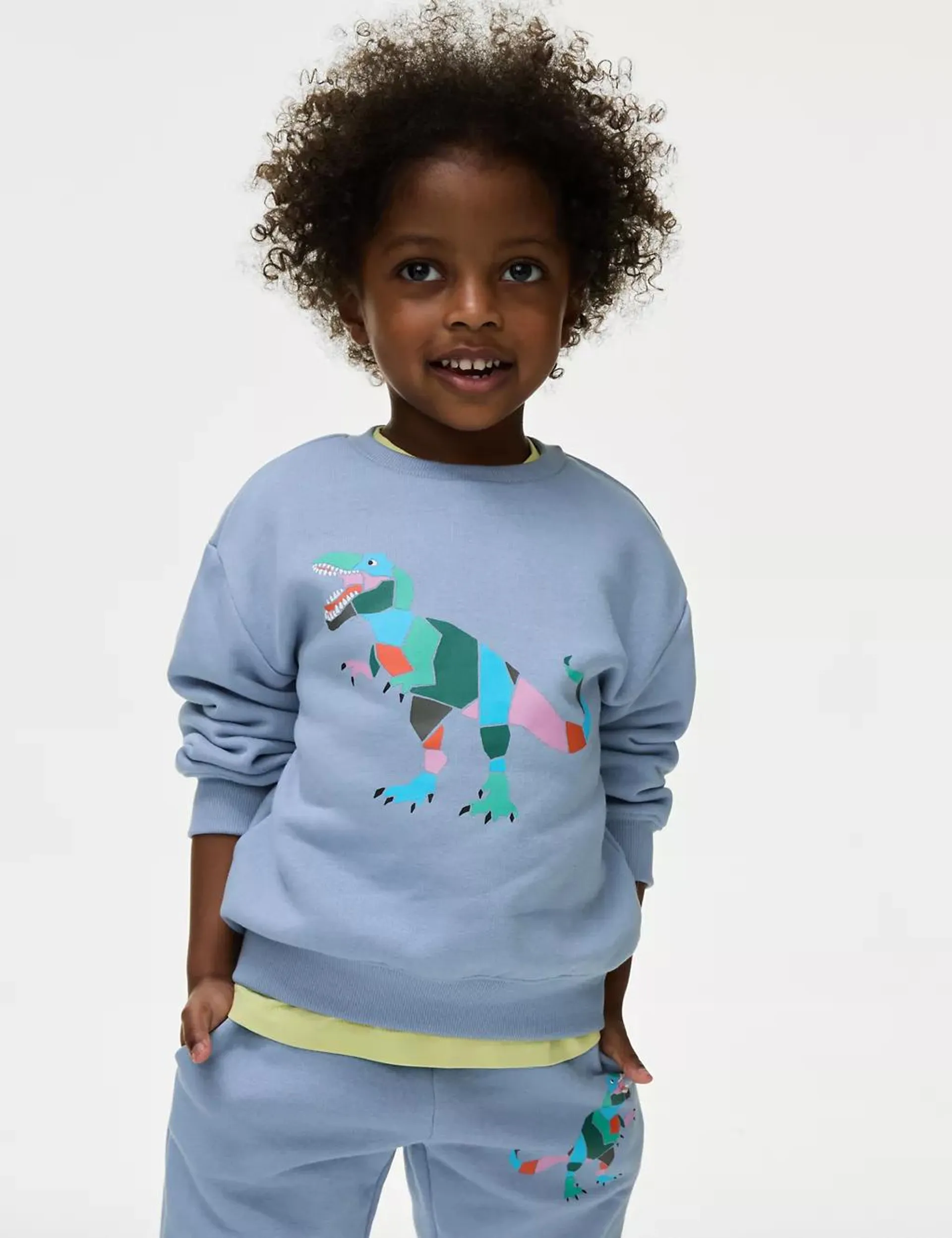 Cotton Rich Dinosaur Sweatshirt (2-8 Yrs)