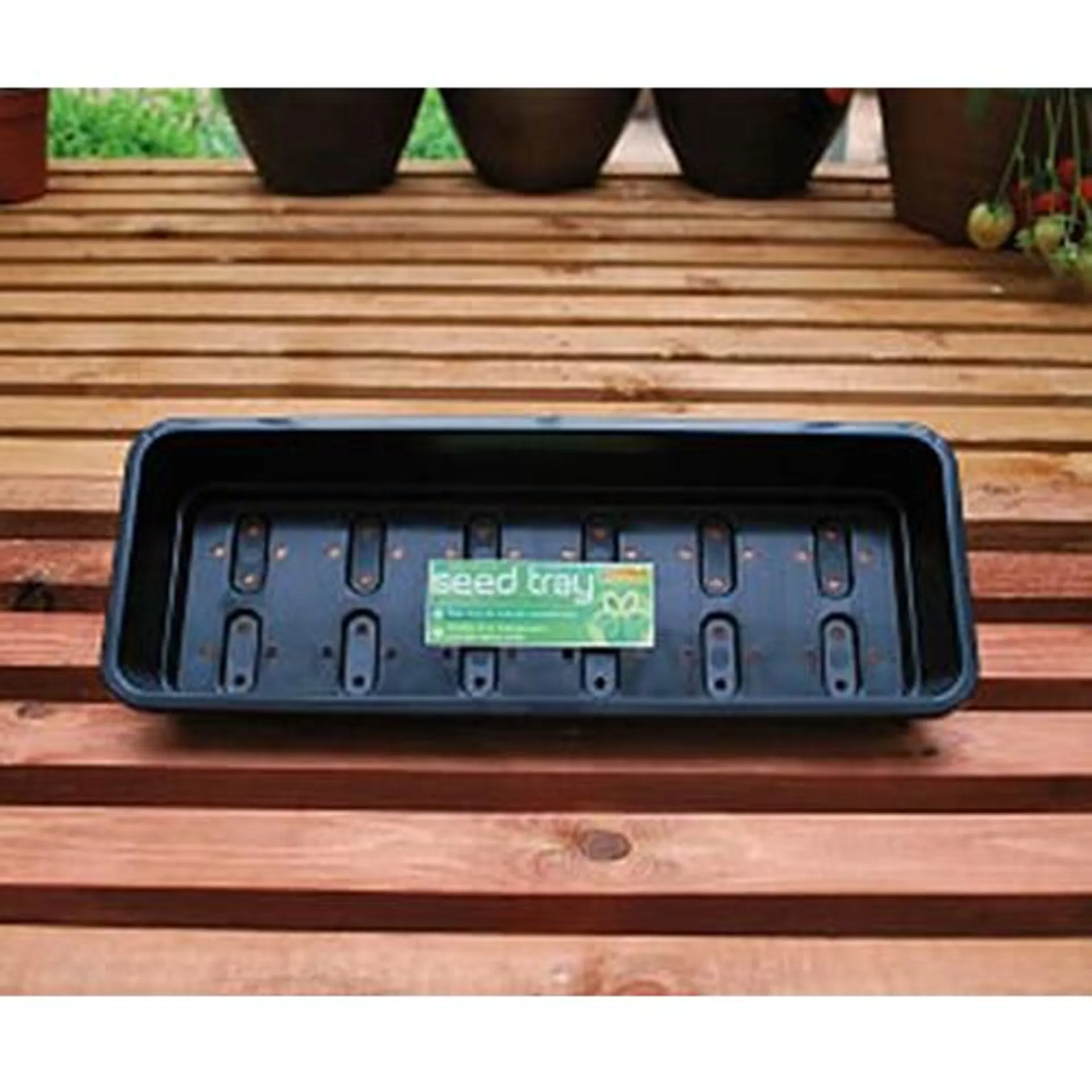 Narrow Seed Tray Black With Holes