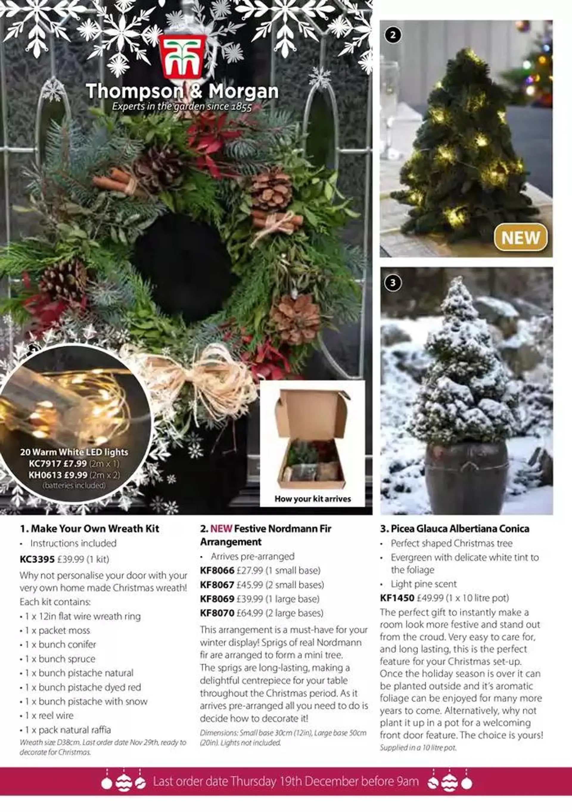 The Christmas Catalogue  from 5 November to 25 December 2024 - Catalogue Page 51