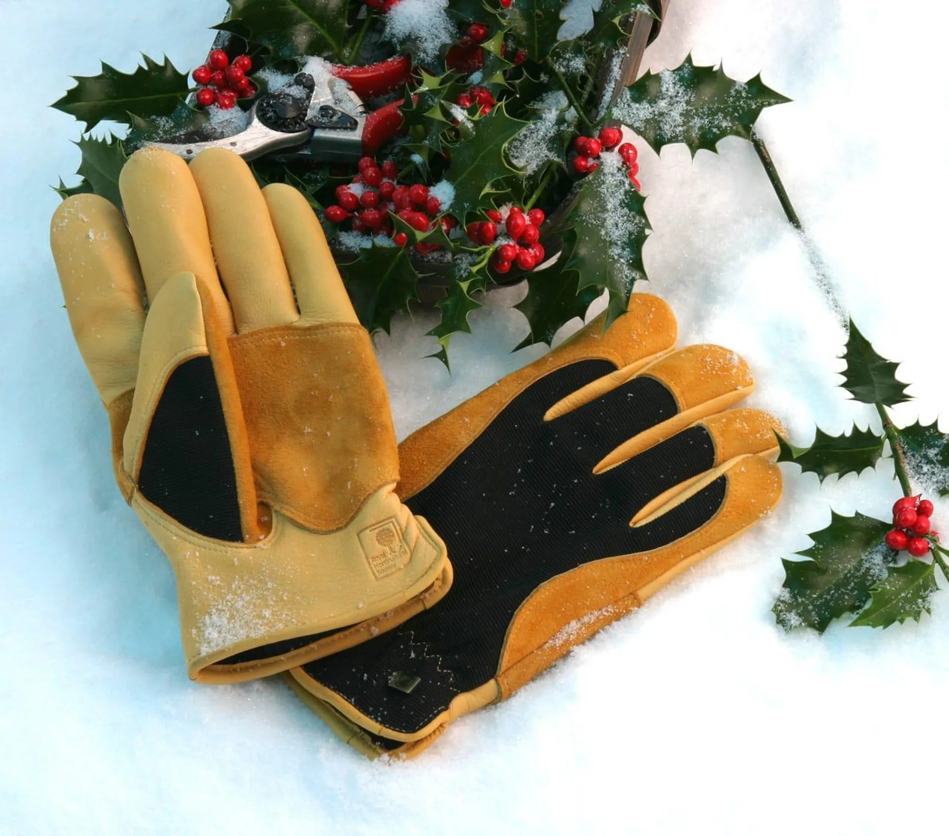 Winter Touch Gloves
