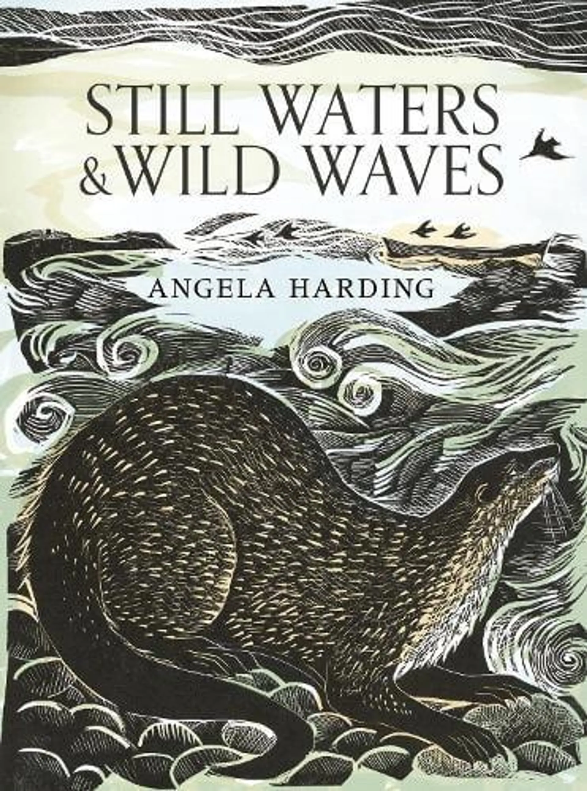 Still Waters & Wild Waves (Hardback)