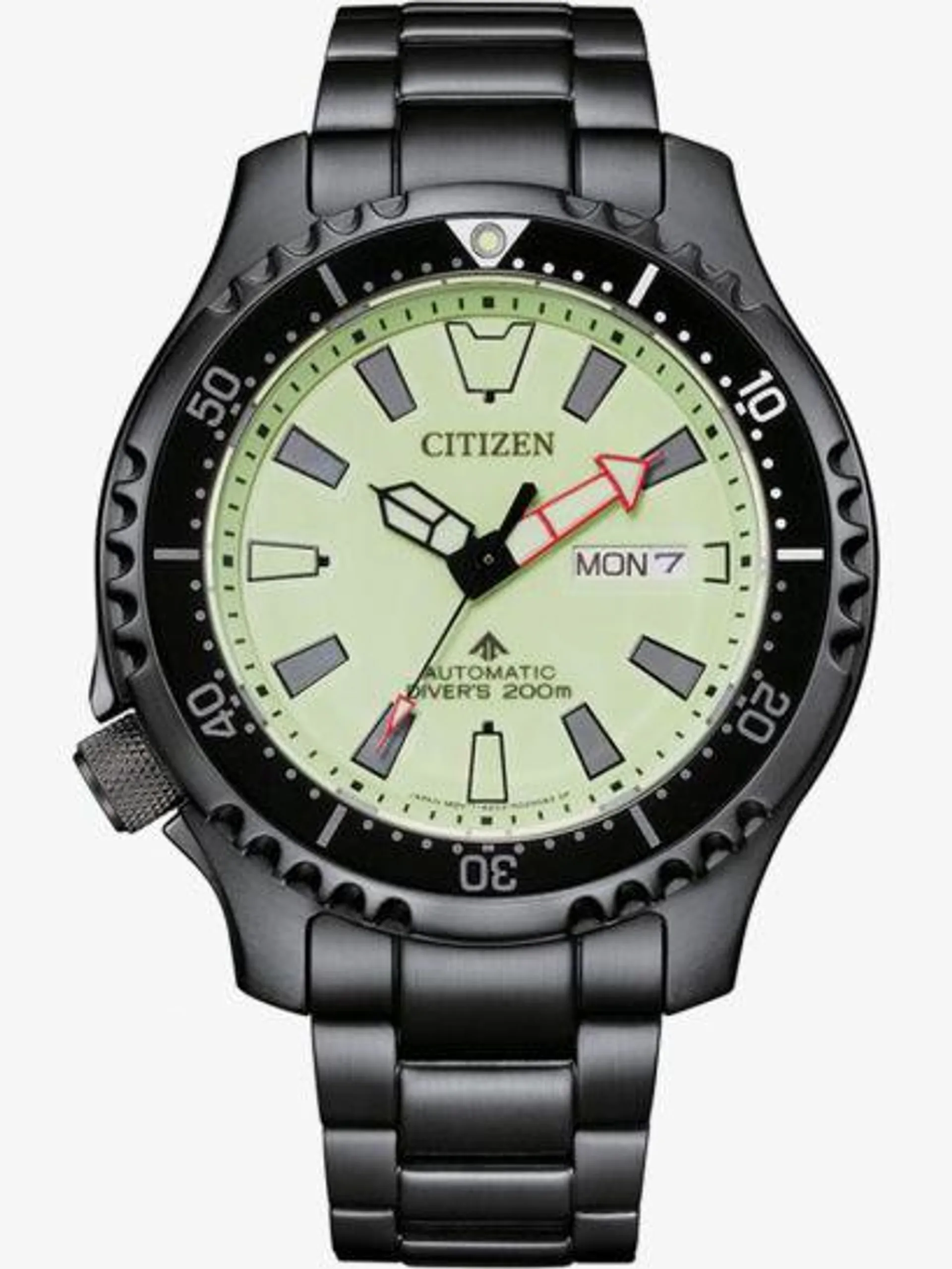 Mens Promaster Luminecent Divers Watch
