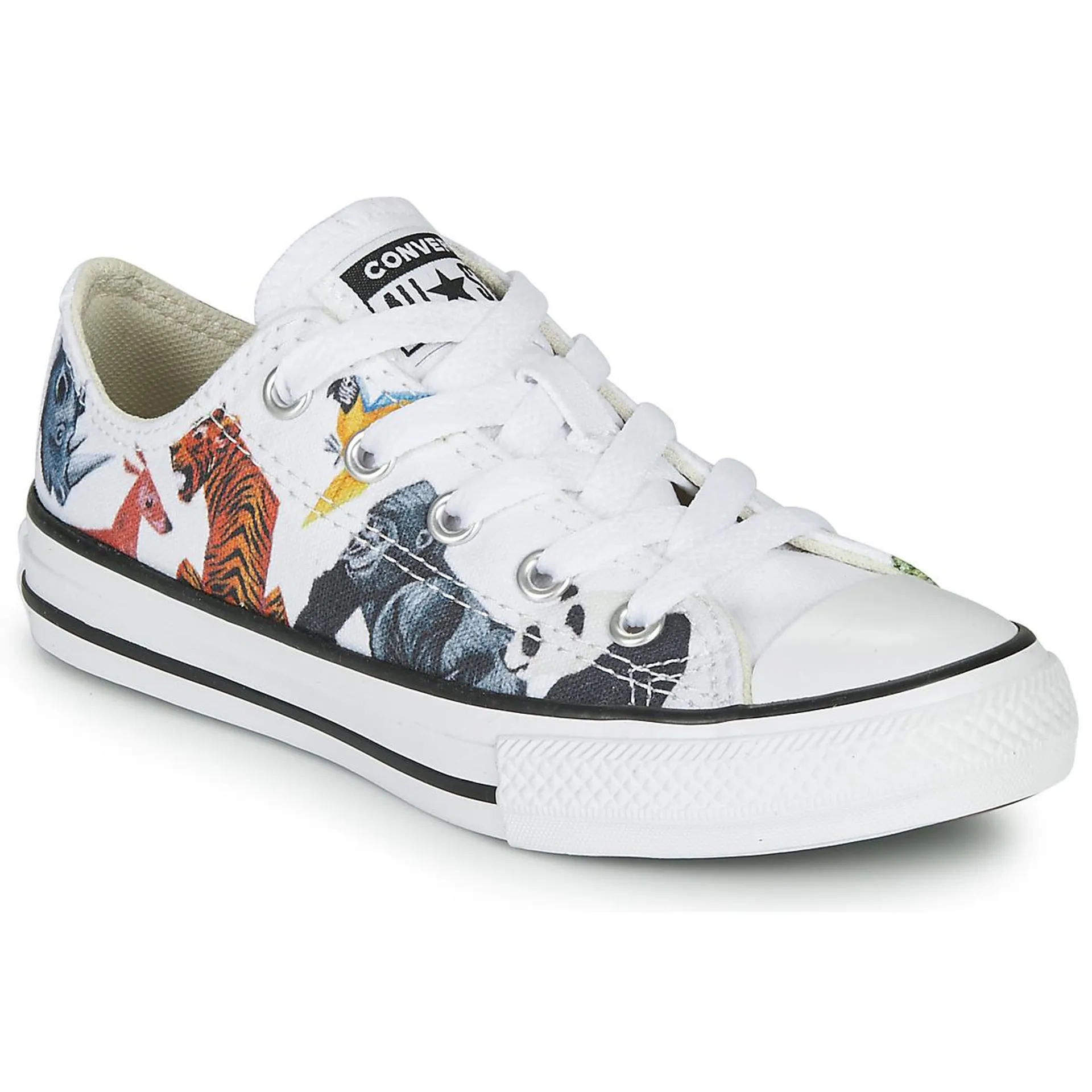 CHUCK TAYLOR ALL STAR - SCIENCE CLASS