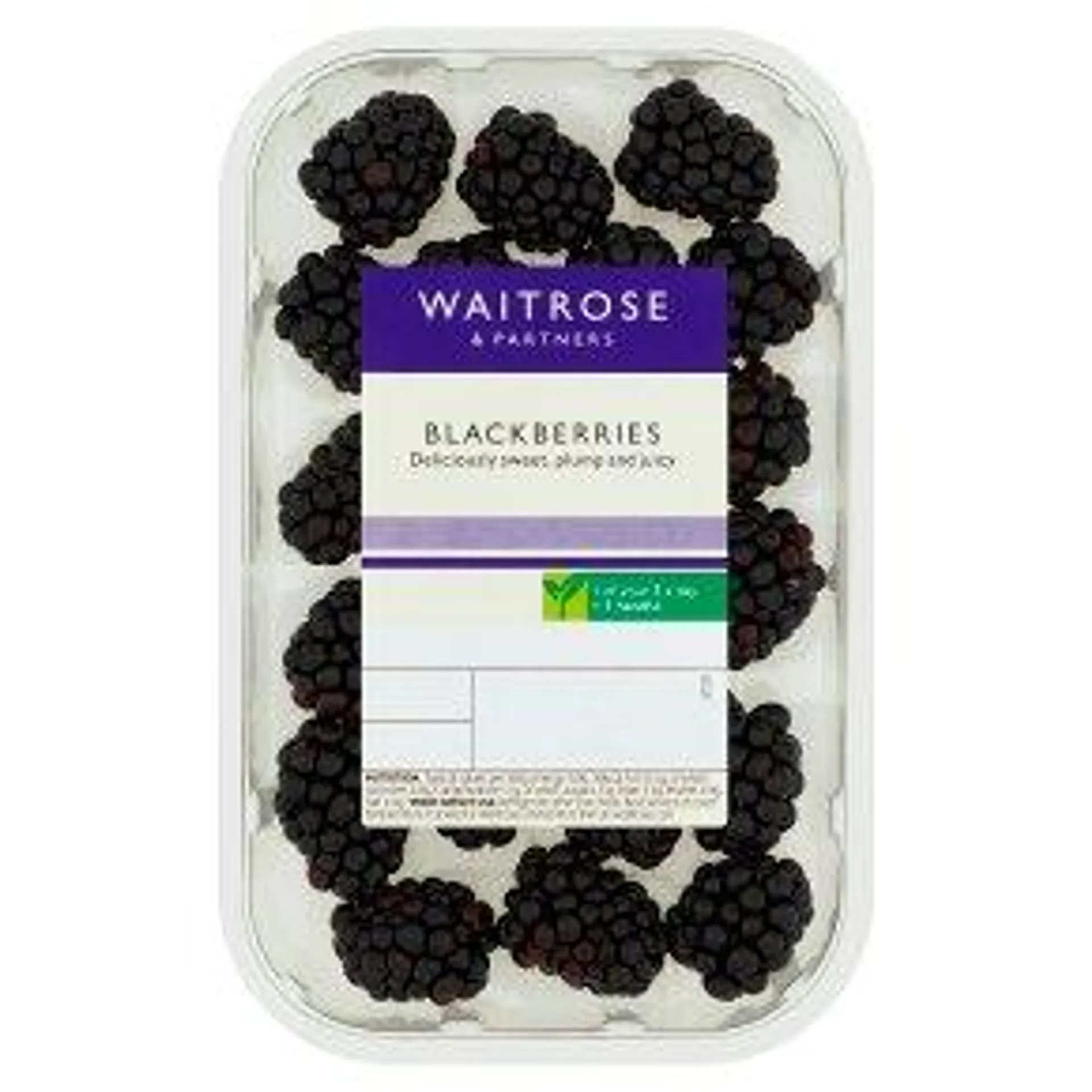 Waitrose Blackberries