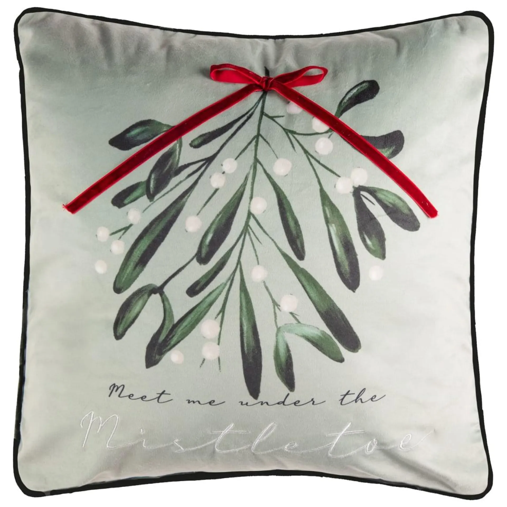 Mistletoe Cushion