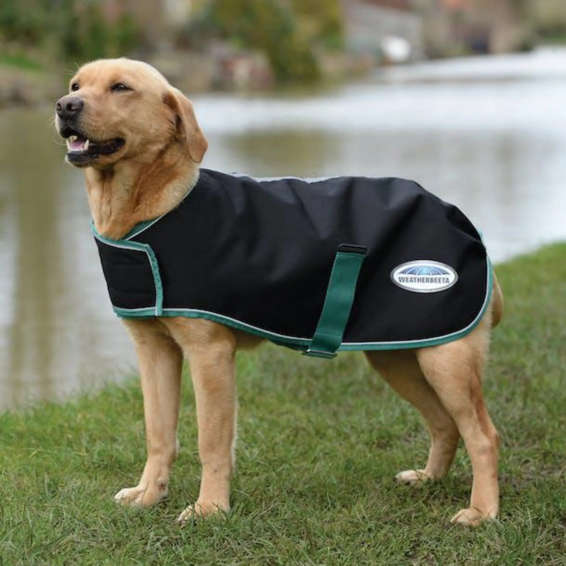 Weatherbeeta Green Tec 900d Lite Plus Dog Jacket