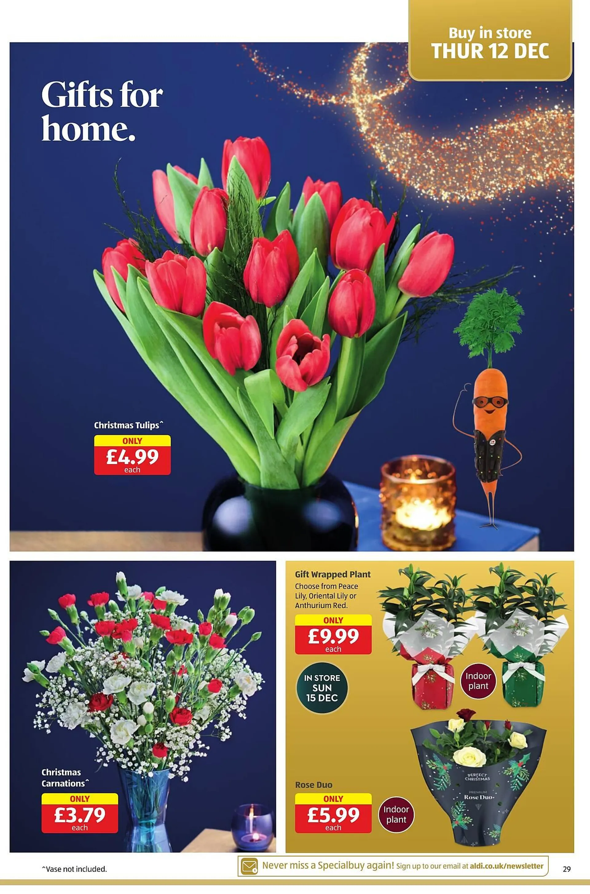 Aldi leaflet from 12 December to 15 December 2024 - Catalogue Page 29