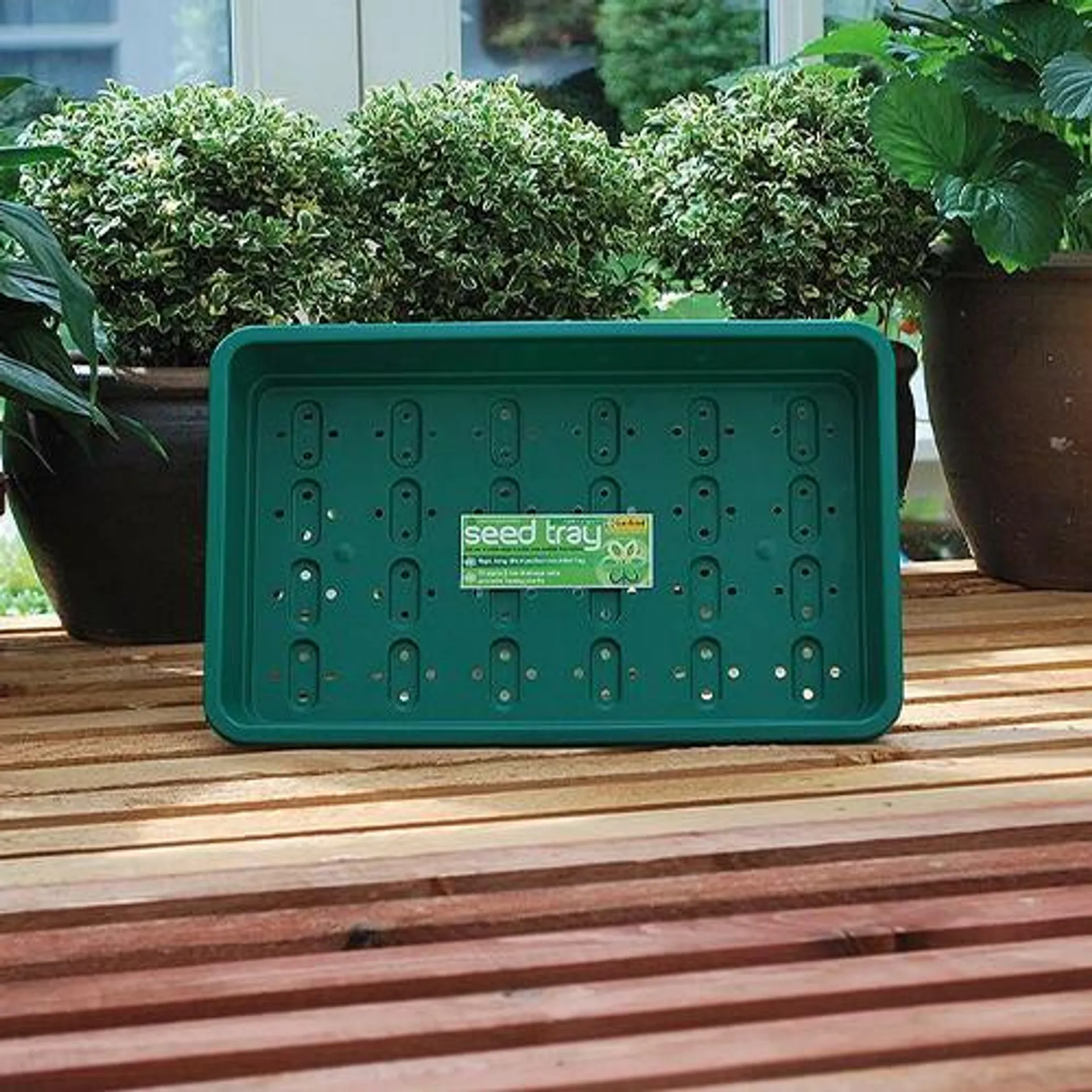 Standard Seed Tray Green With Holes